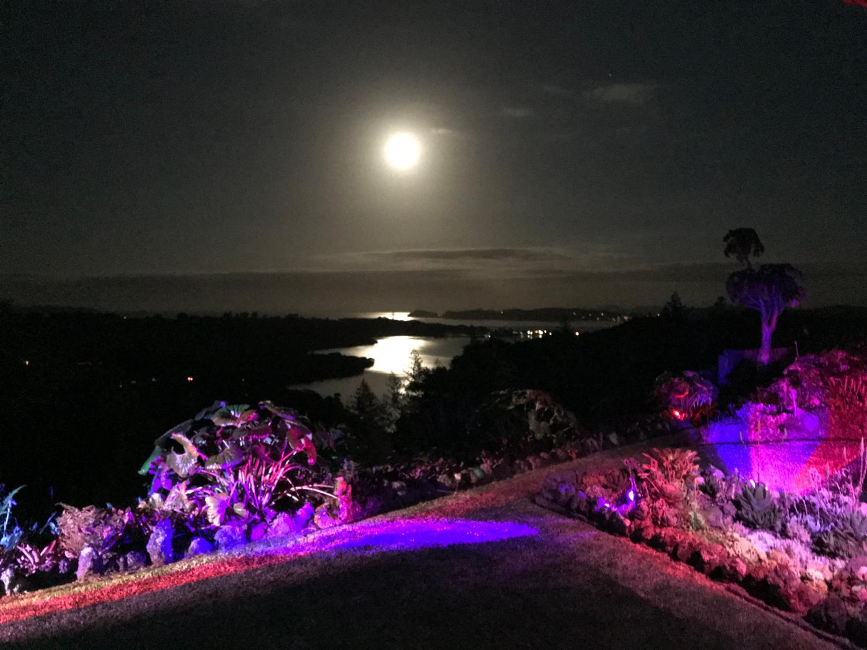 Baywaterviews
