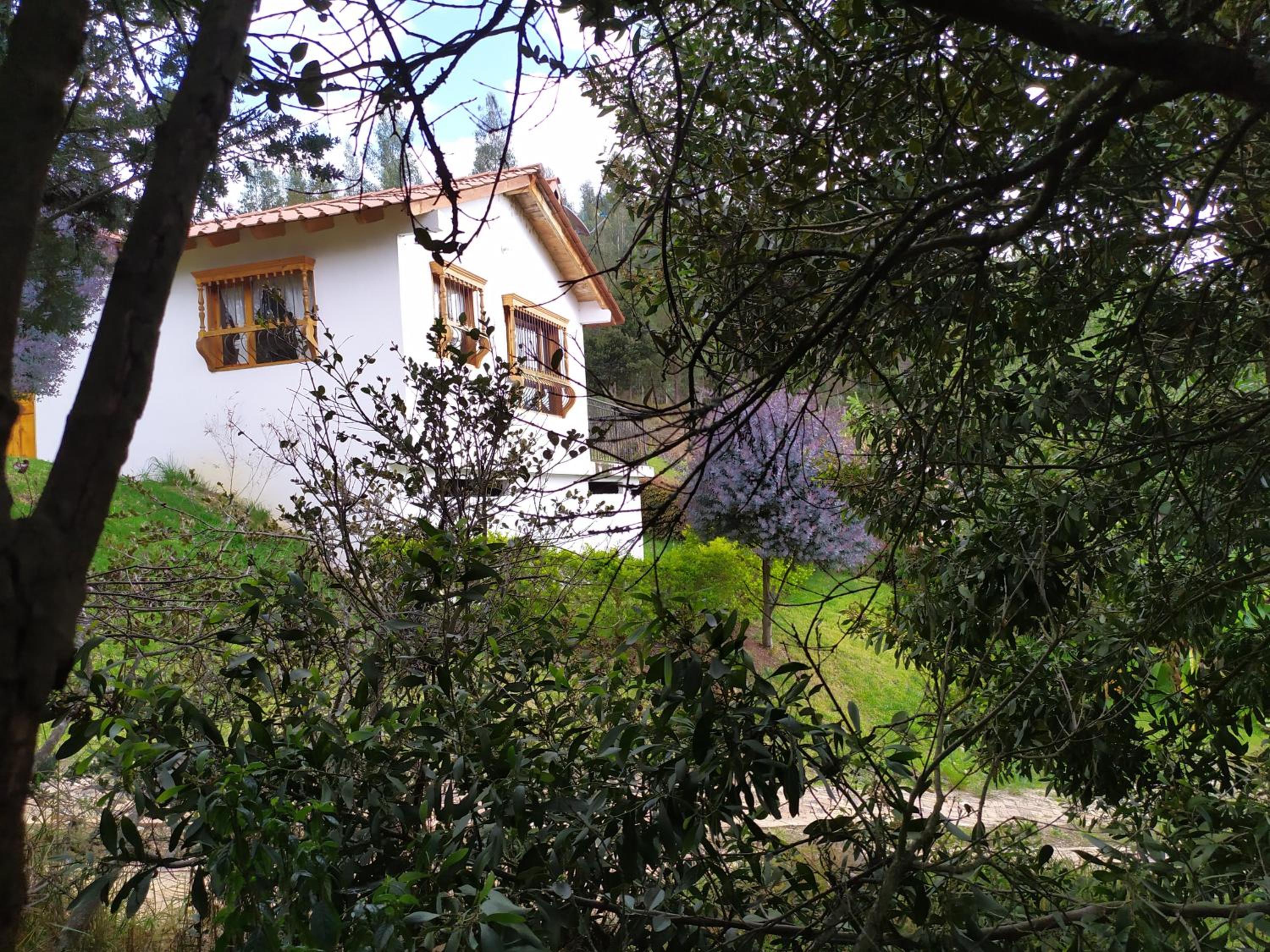 Photo 6