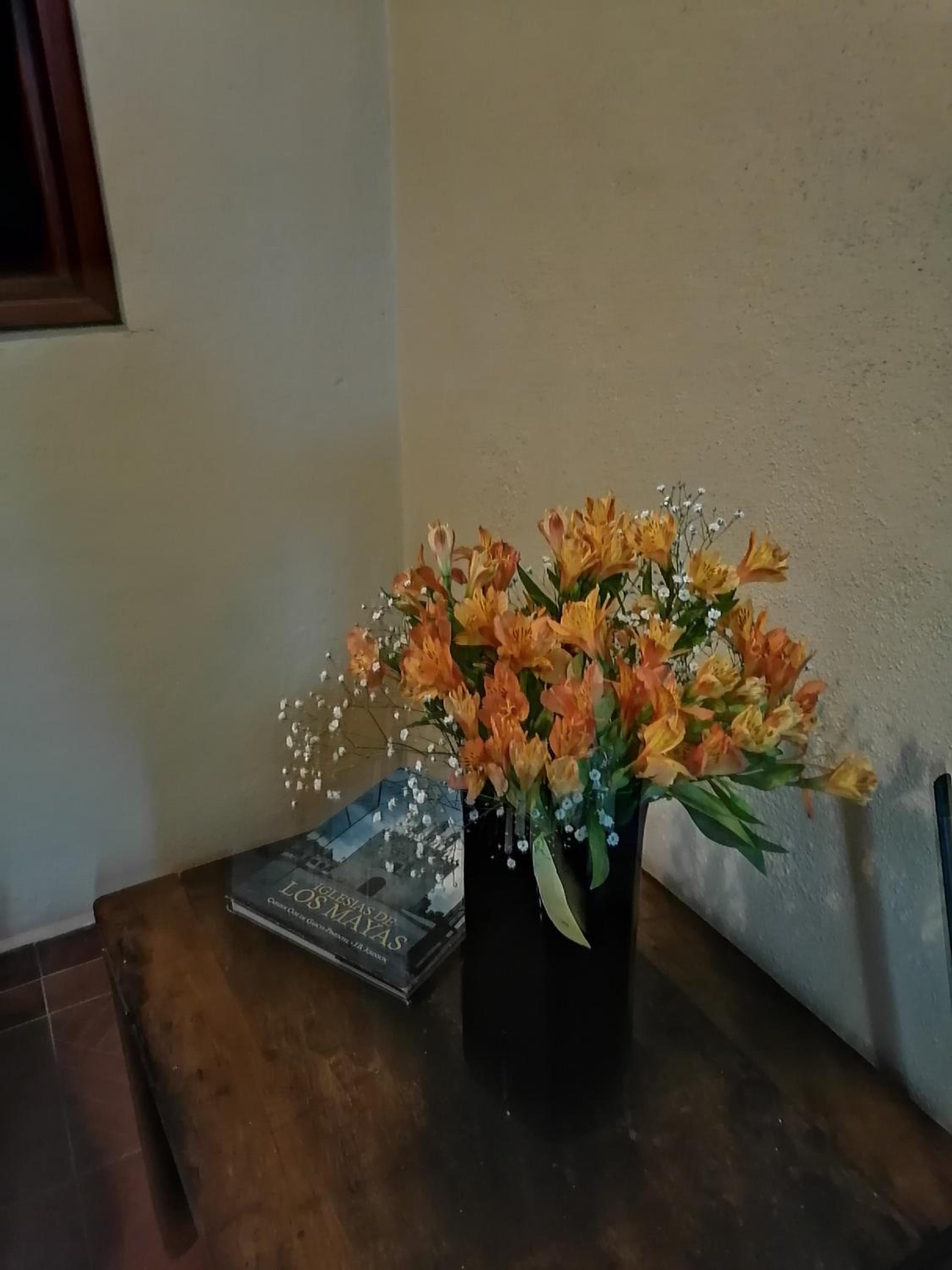 Photo 27