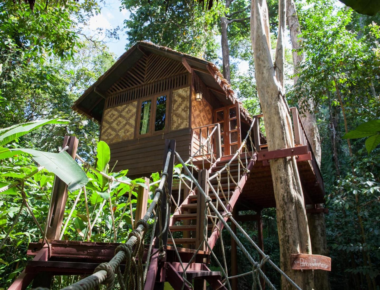Our Jungle House