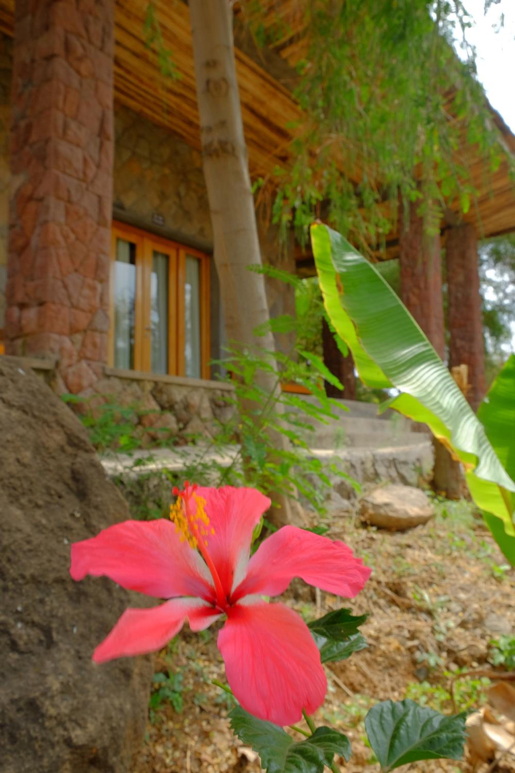 Mezena Resort & SPA