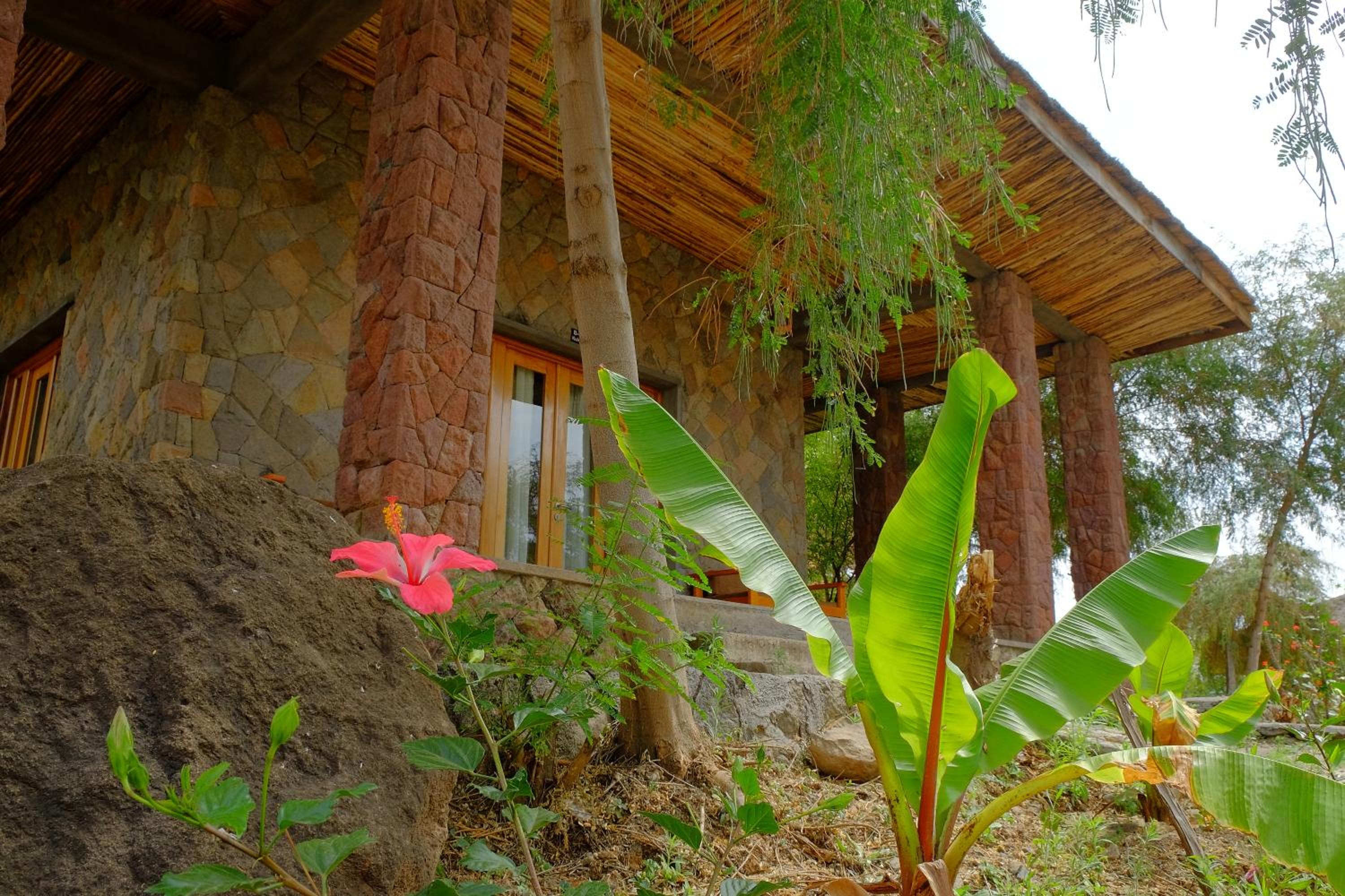 Mezena Resort & SPA