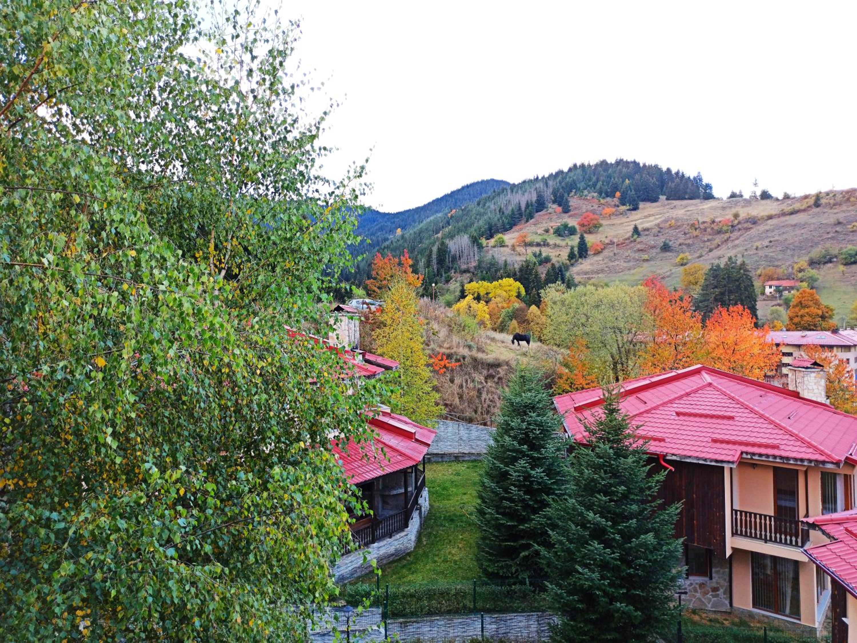 Rodopi Houses