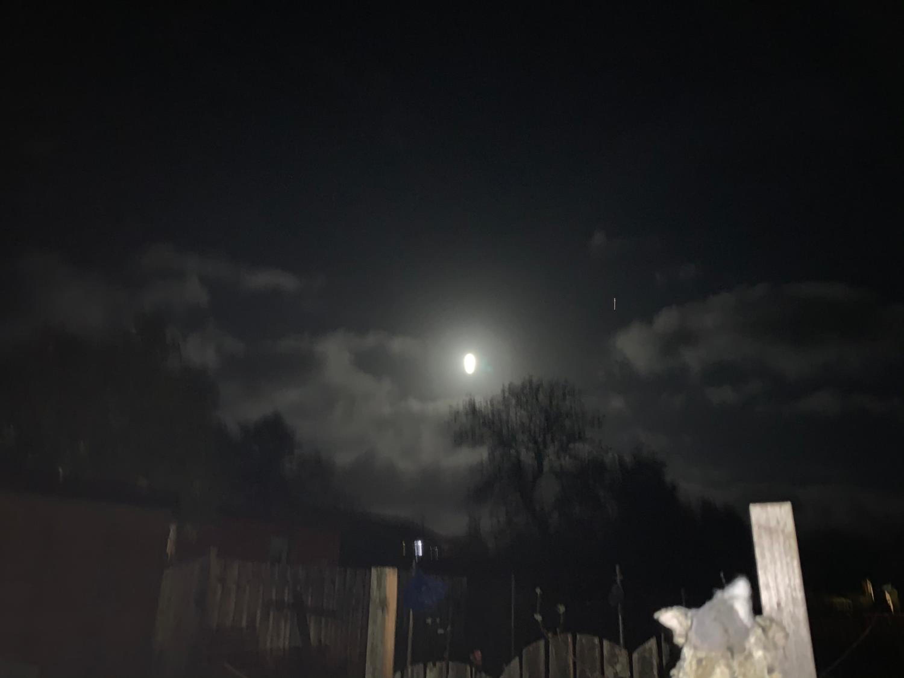 Photo 33