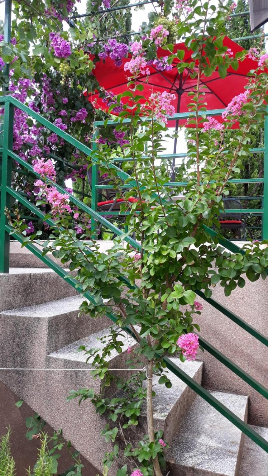 Photo 24