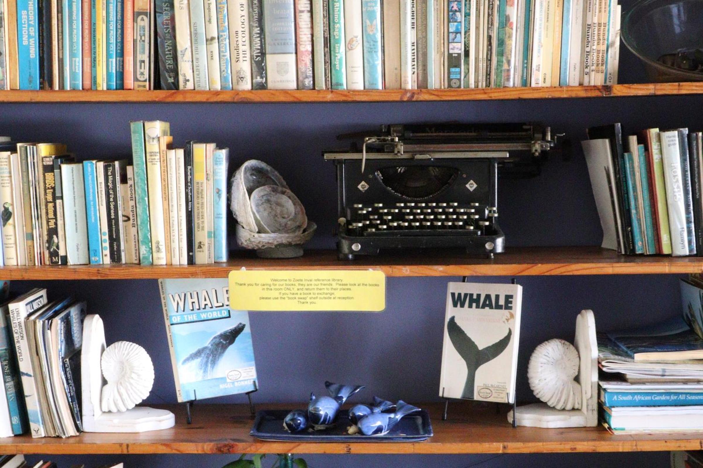 Zoete Inval Travelers Lodge Guesthouse Hermanus