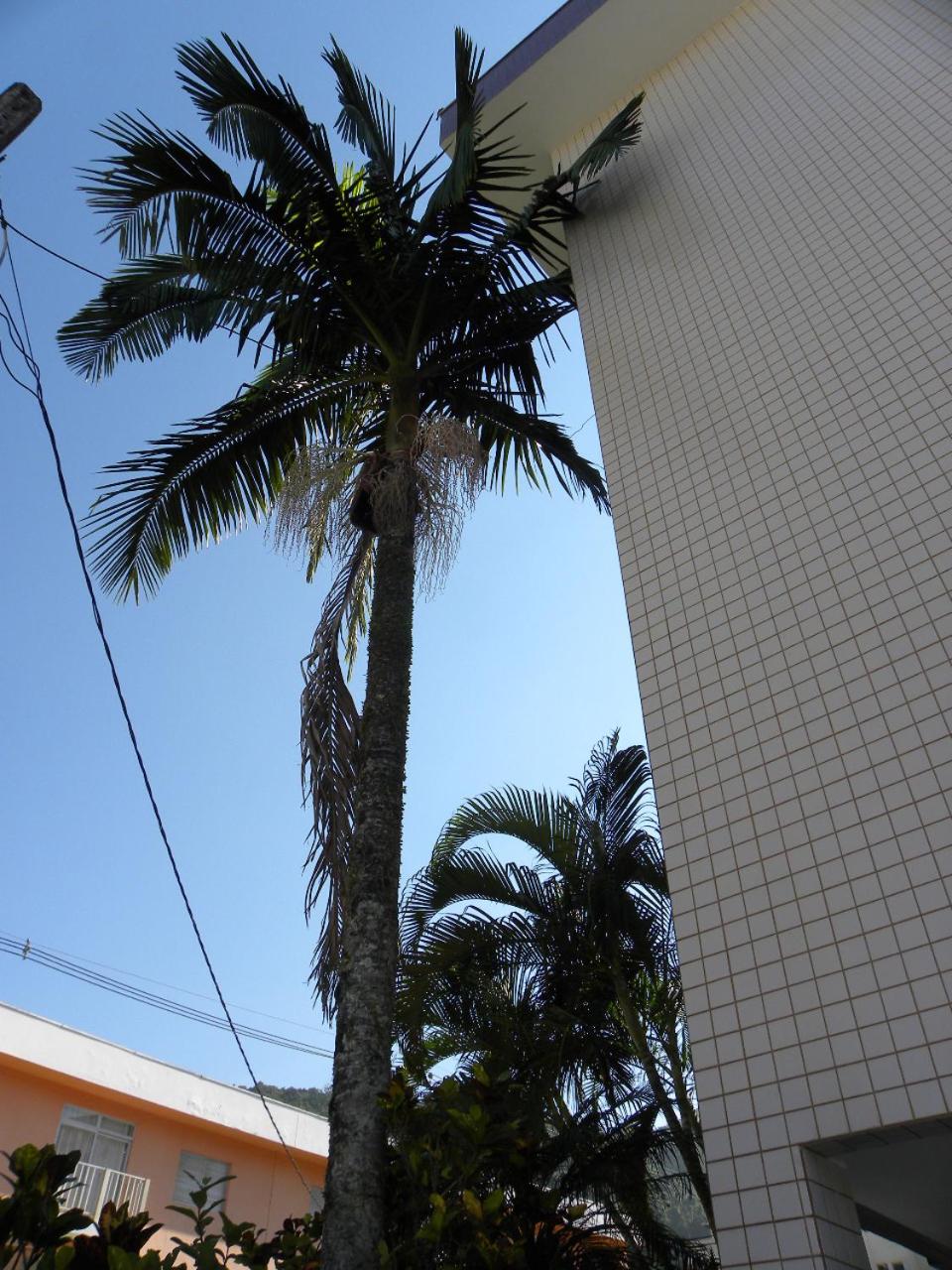 Photo 24