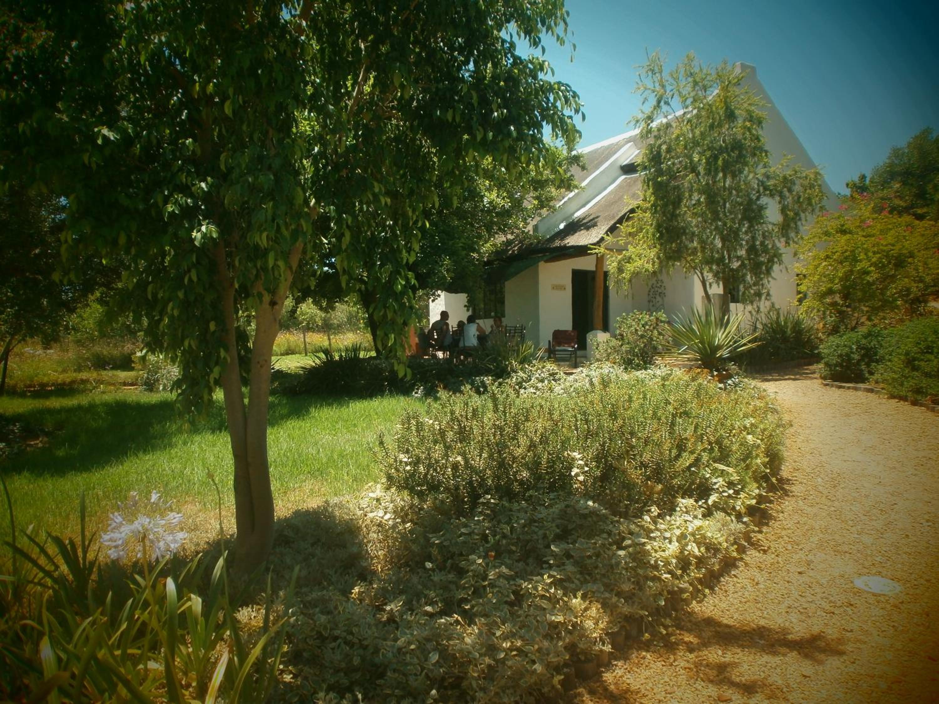 Photo 44