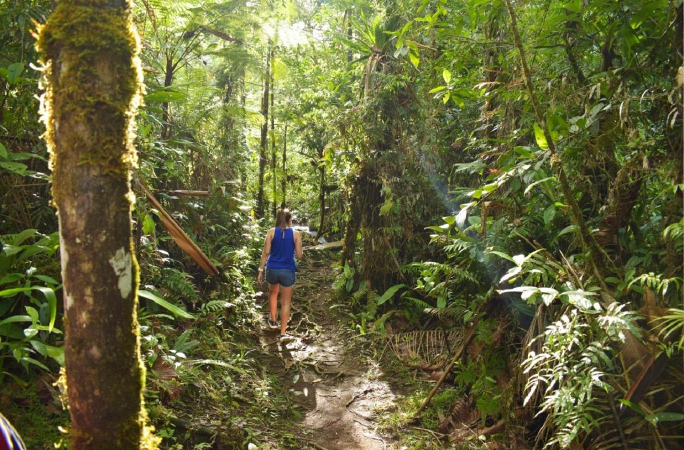 Posada Río Celeste La Amistad