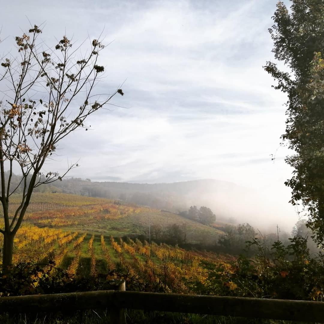 Felix House - Property Image 10