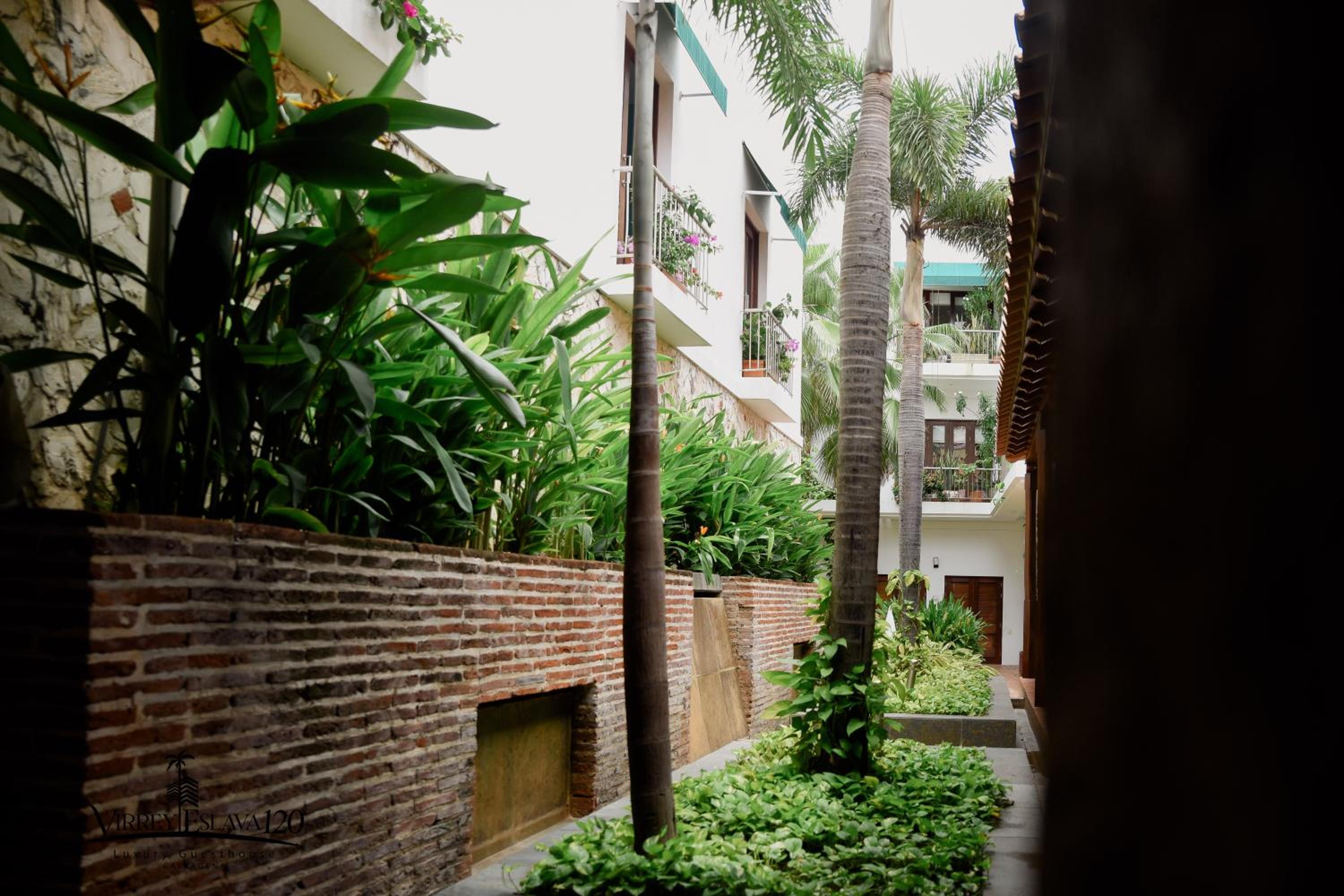 Photo 46