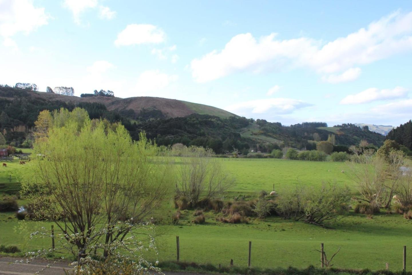 Arden Country House BnB - Entire house to yourself -peace in the country