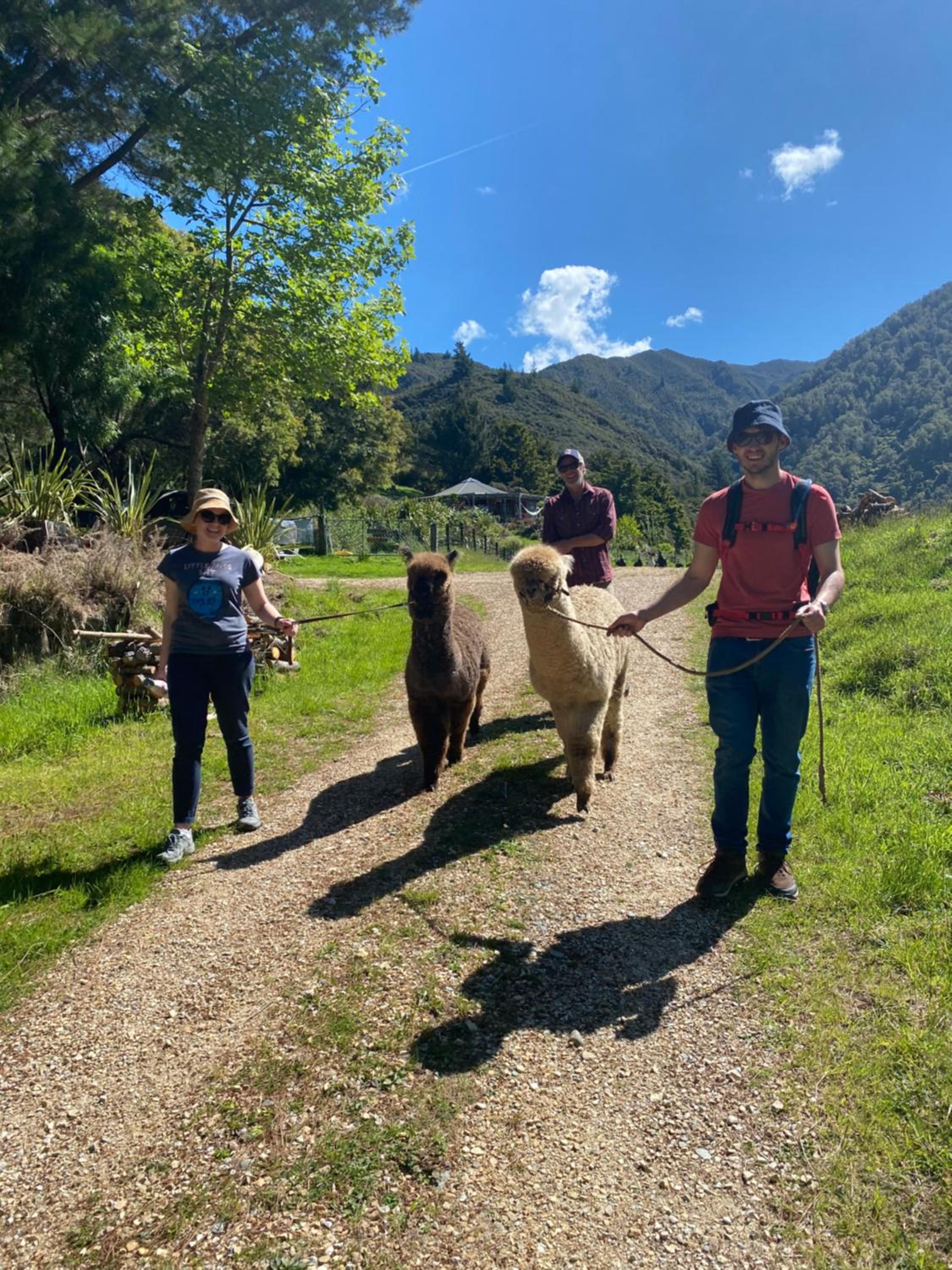 Alpacas Off Grid - Eco Cabin