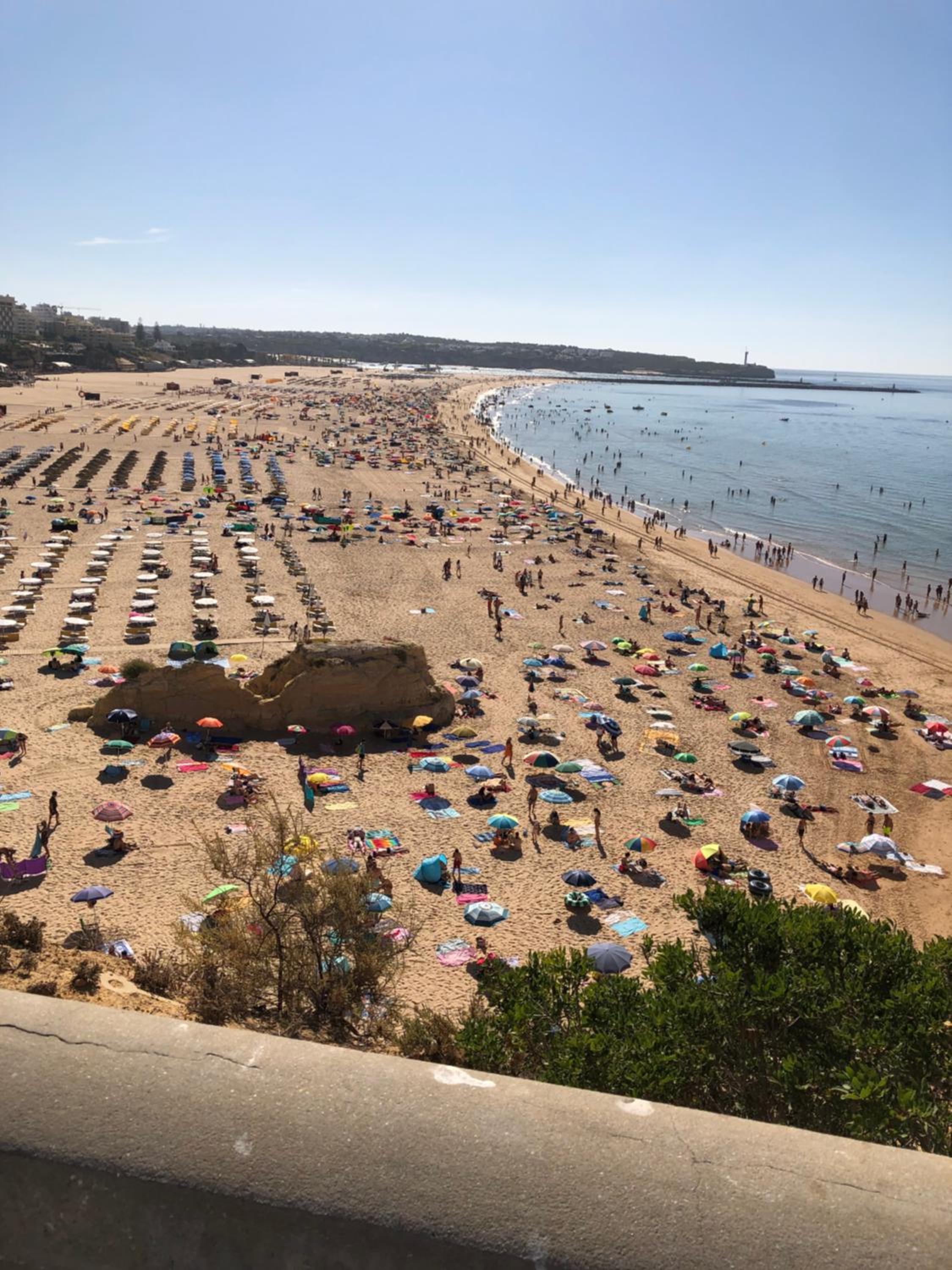 T1 Praia da Rocha view 5