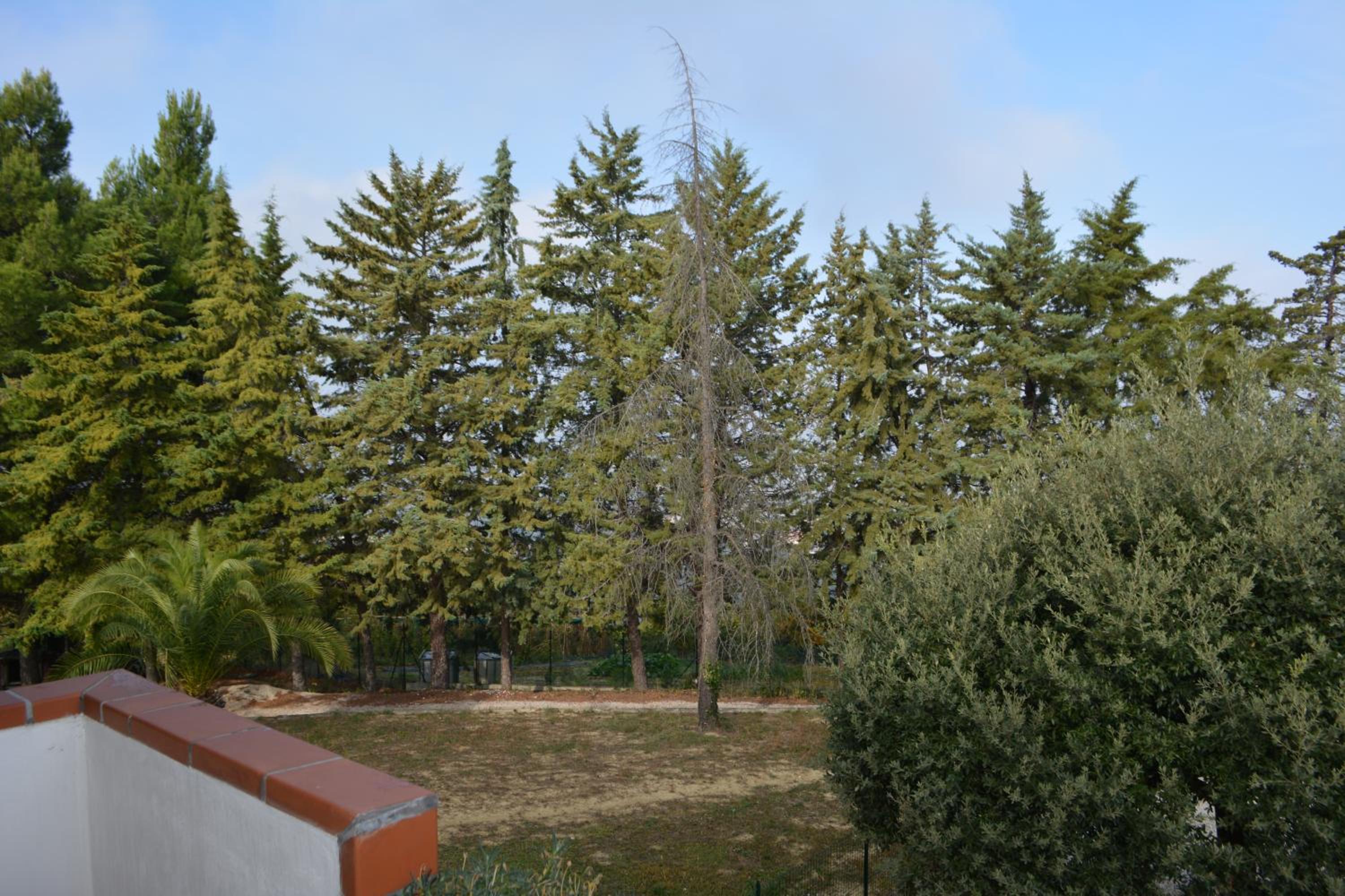 Photo 26