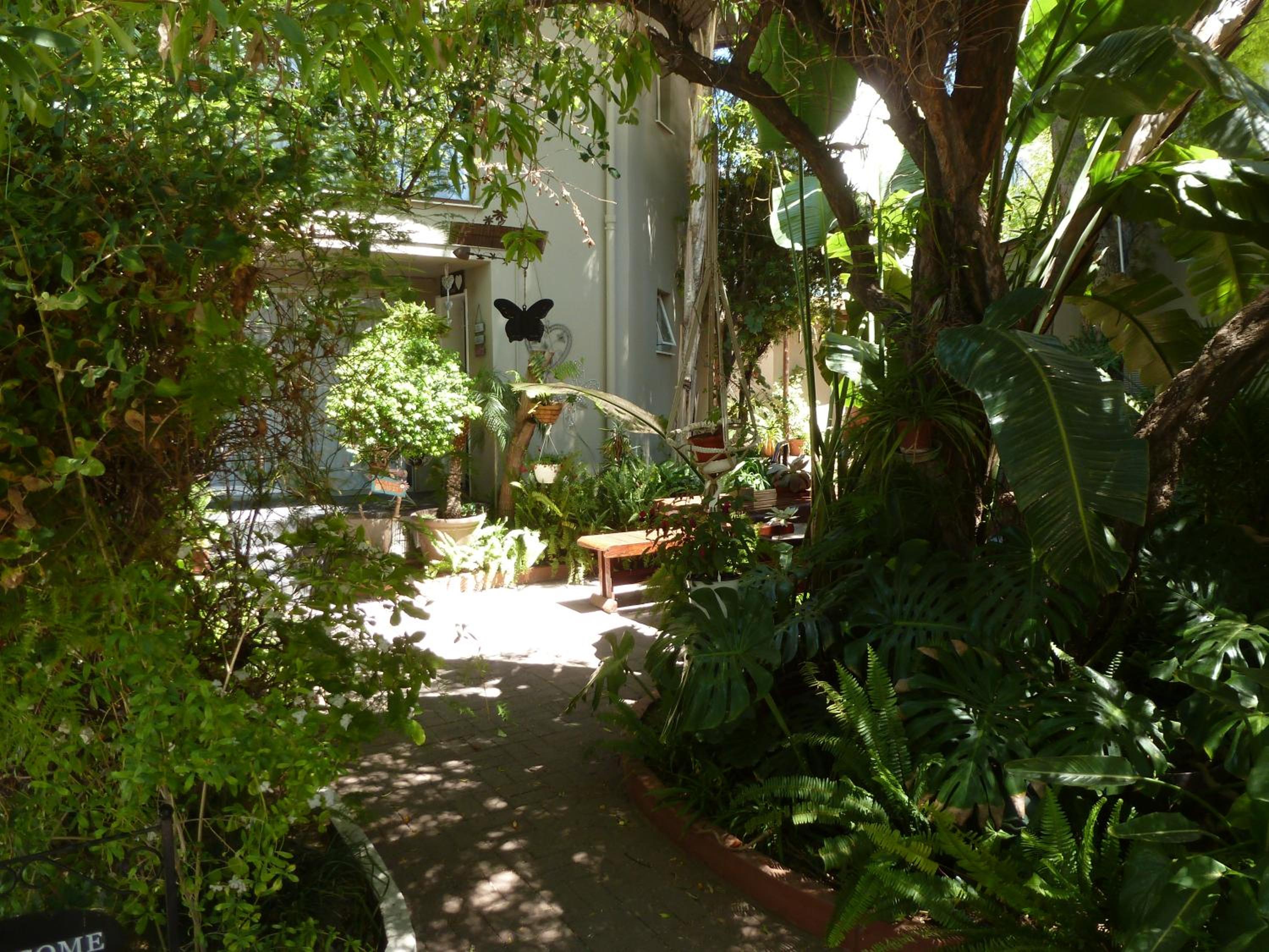 Springbok Apartments view 4