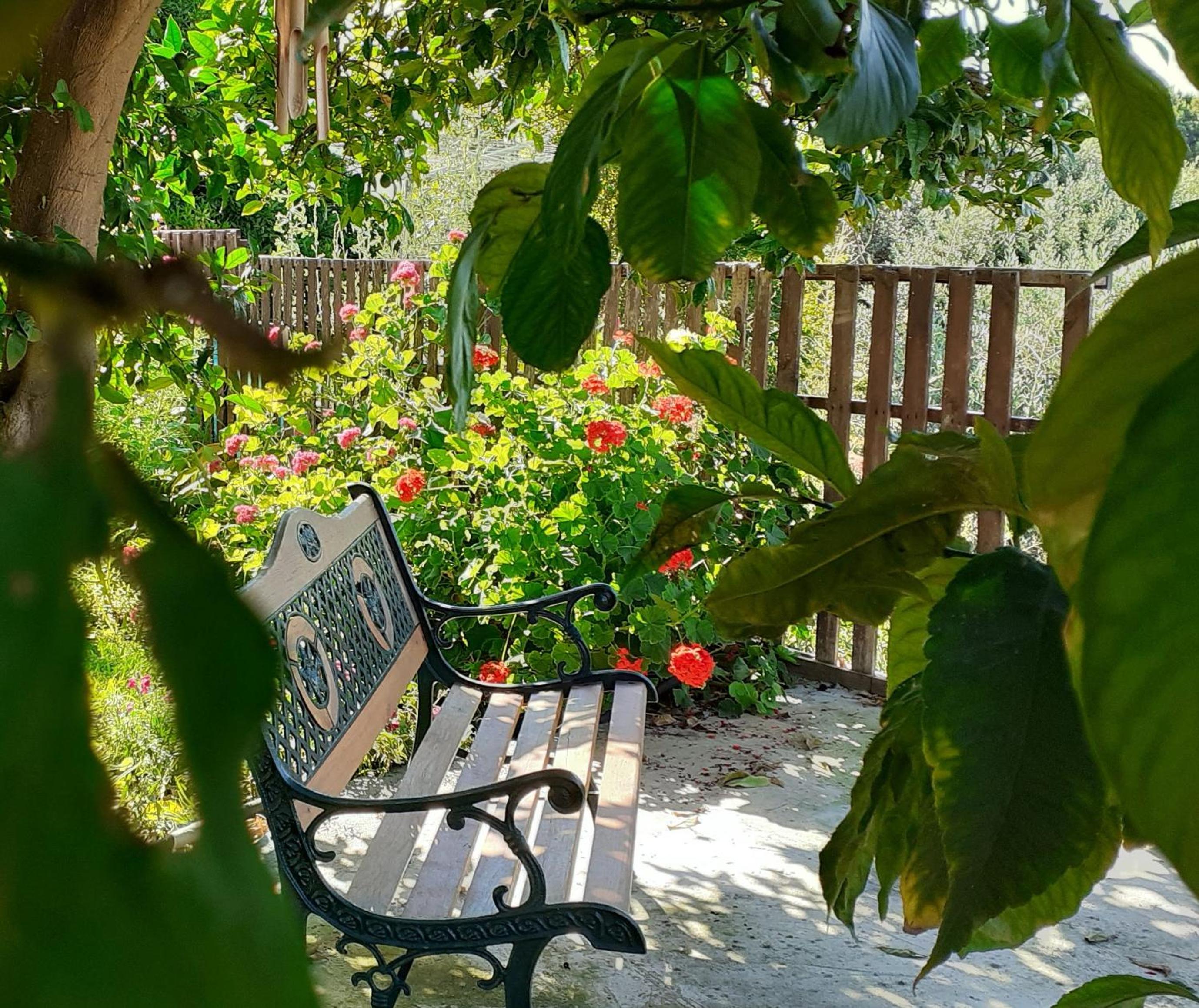 Maria's Place
