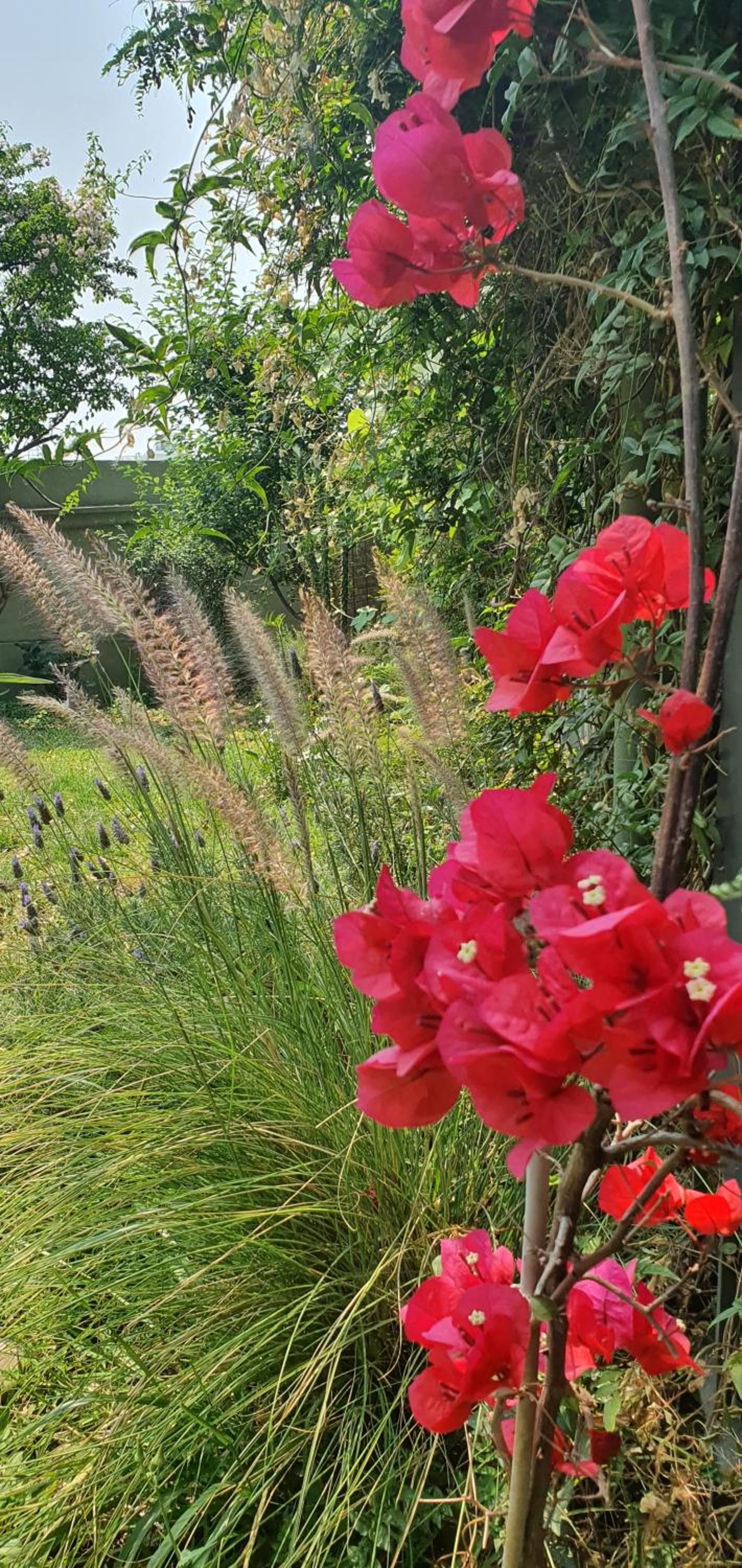 Los Tarcos Guest House