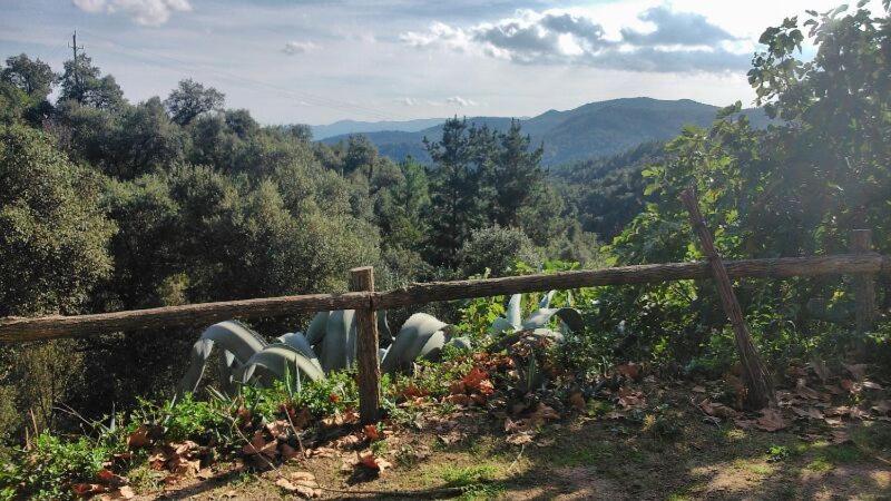 Can Canaleta Hotel Rural