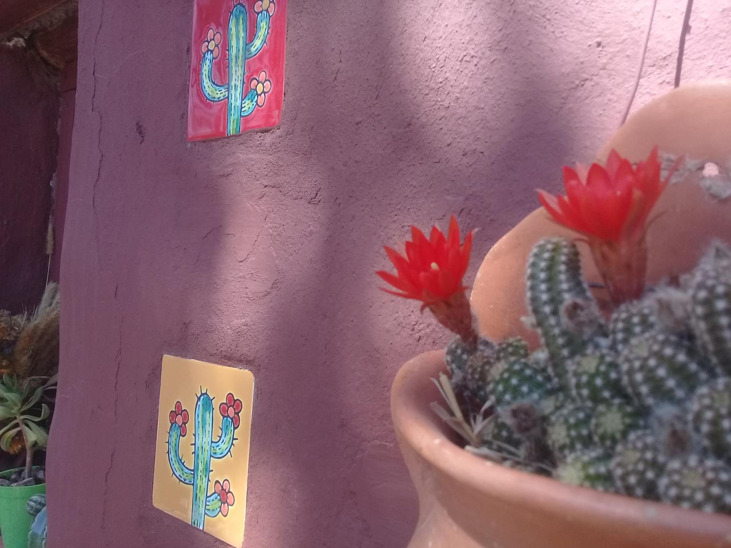 Cabaña El Cardón,casita en el campo quebradeño