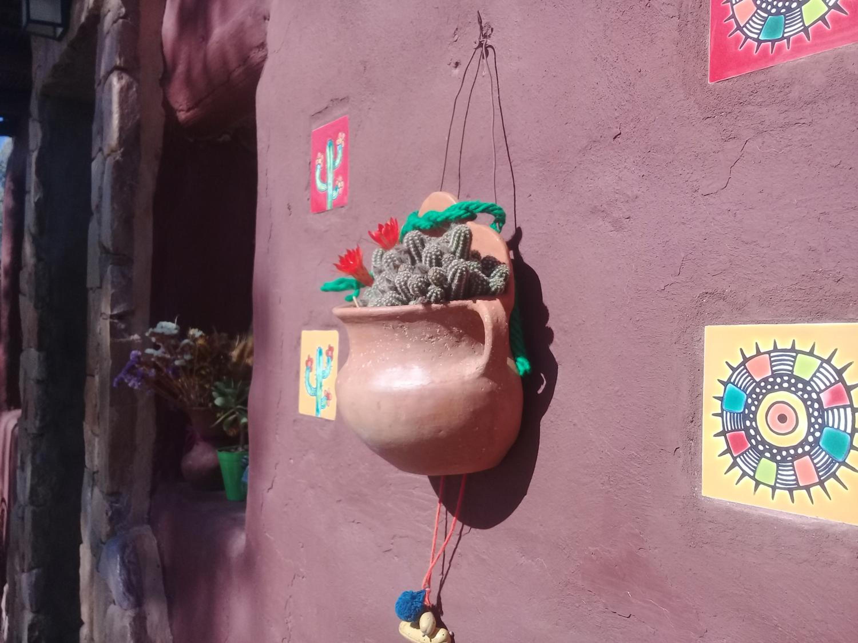 Cabaña El Cardón,casita en el campo quebradeño