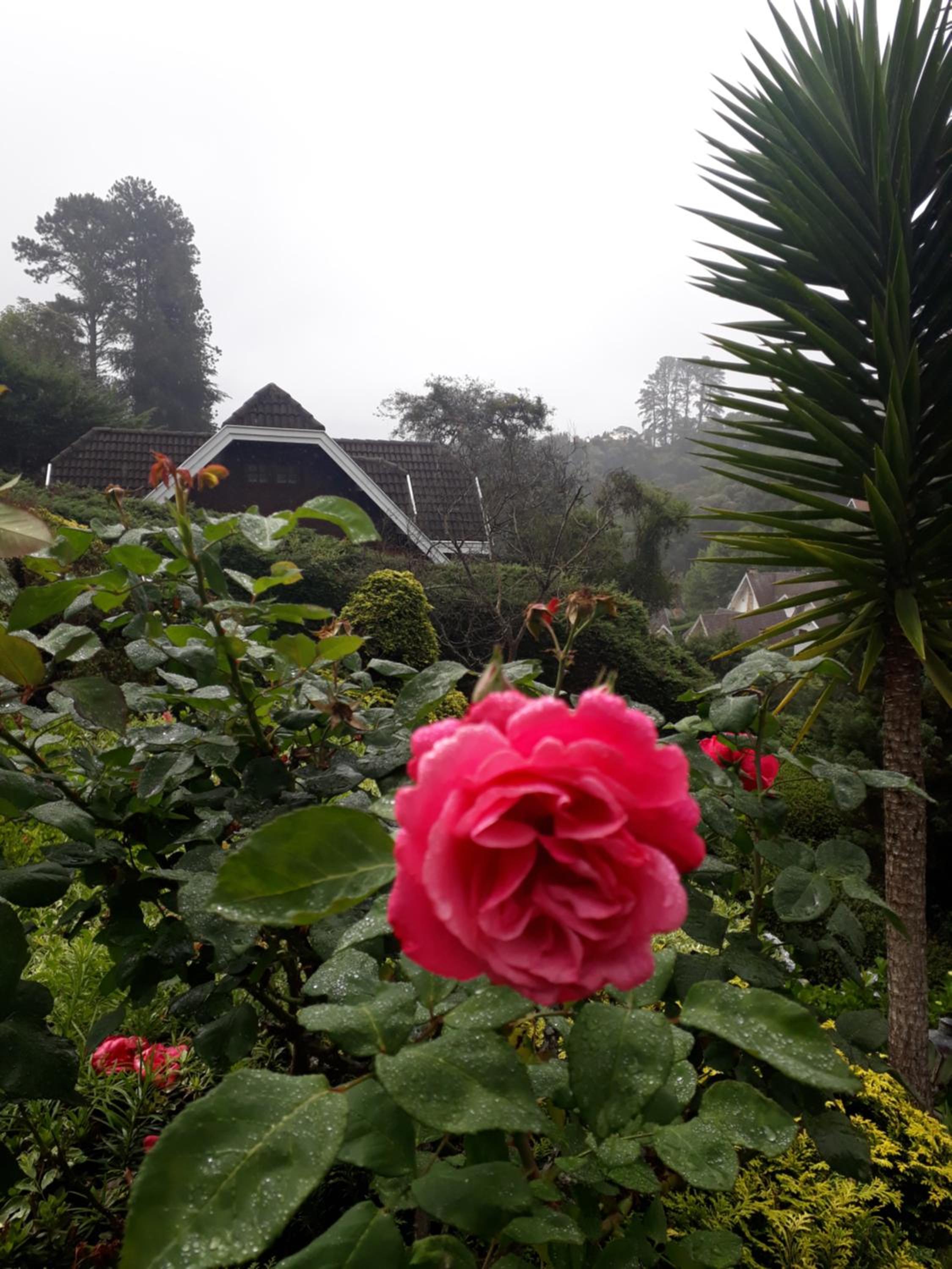 Casa em campos do Jordão