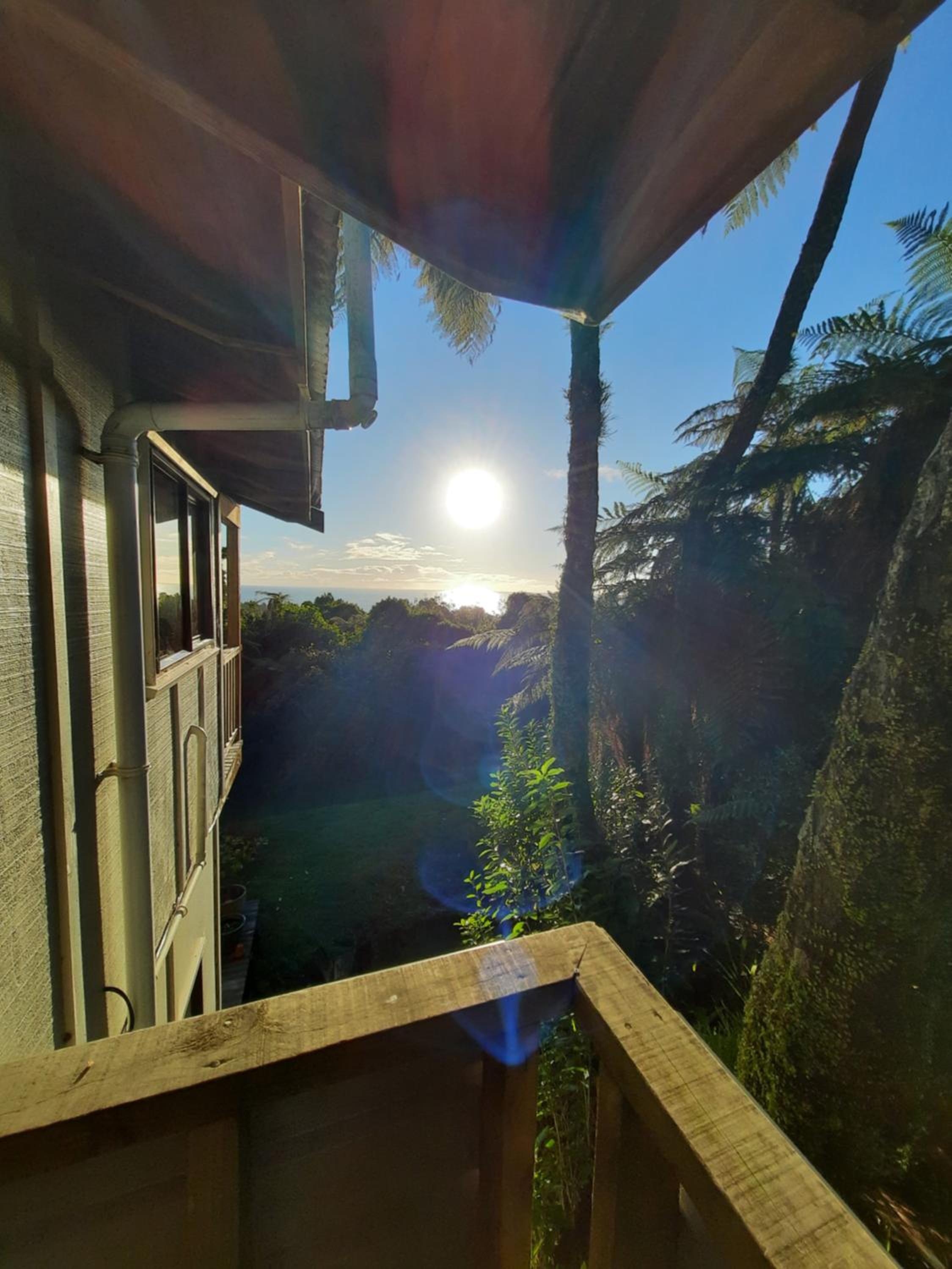 Te Nikau Retreat