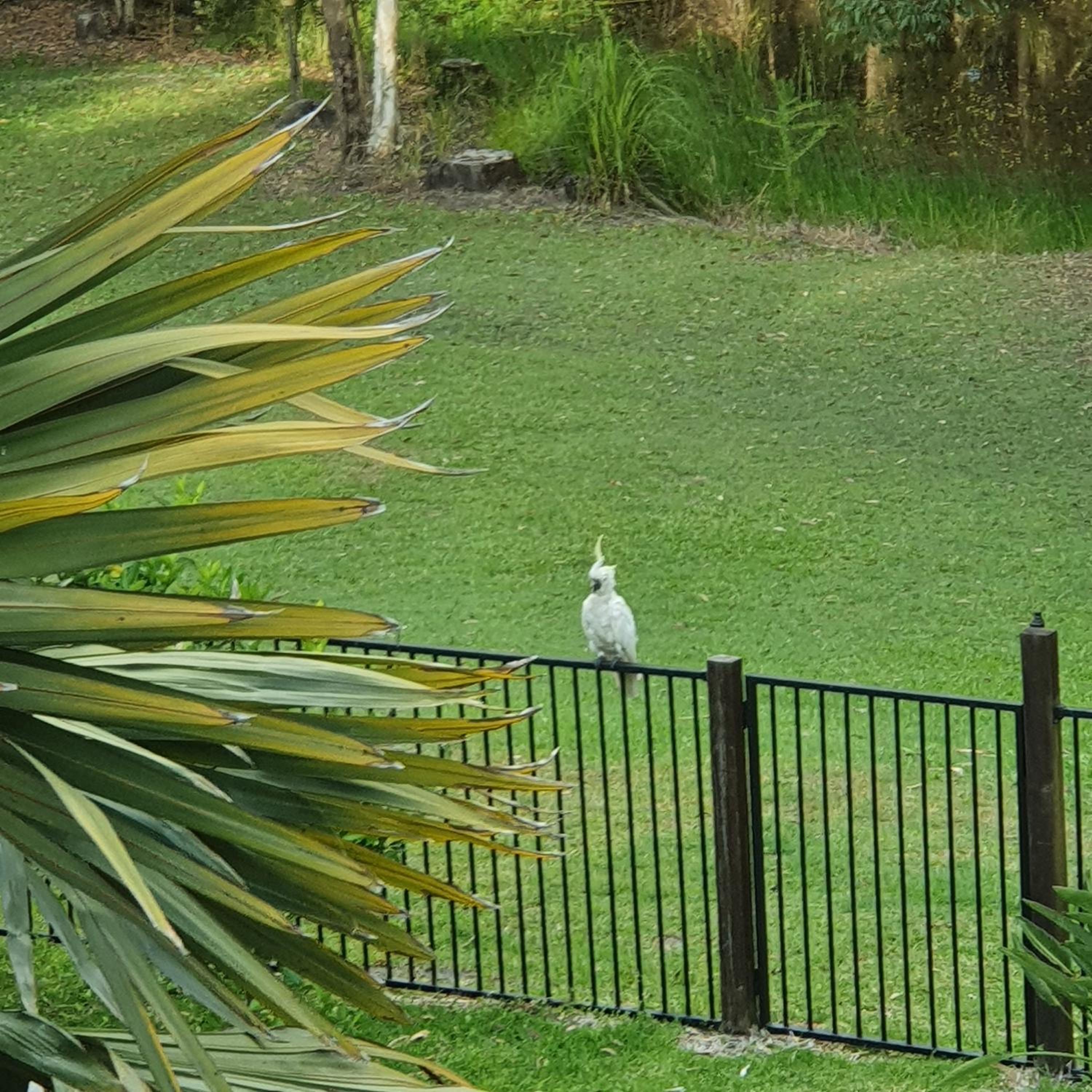 Clearwater estate