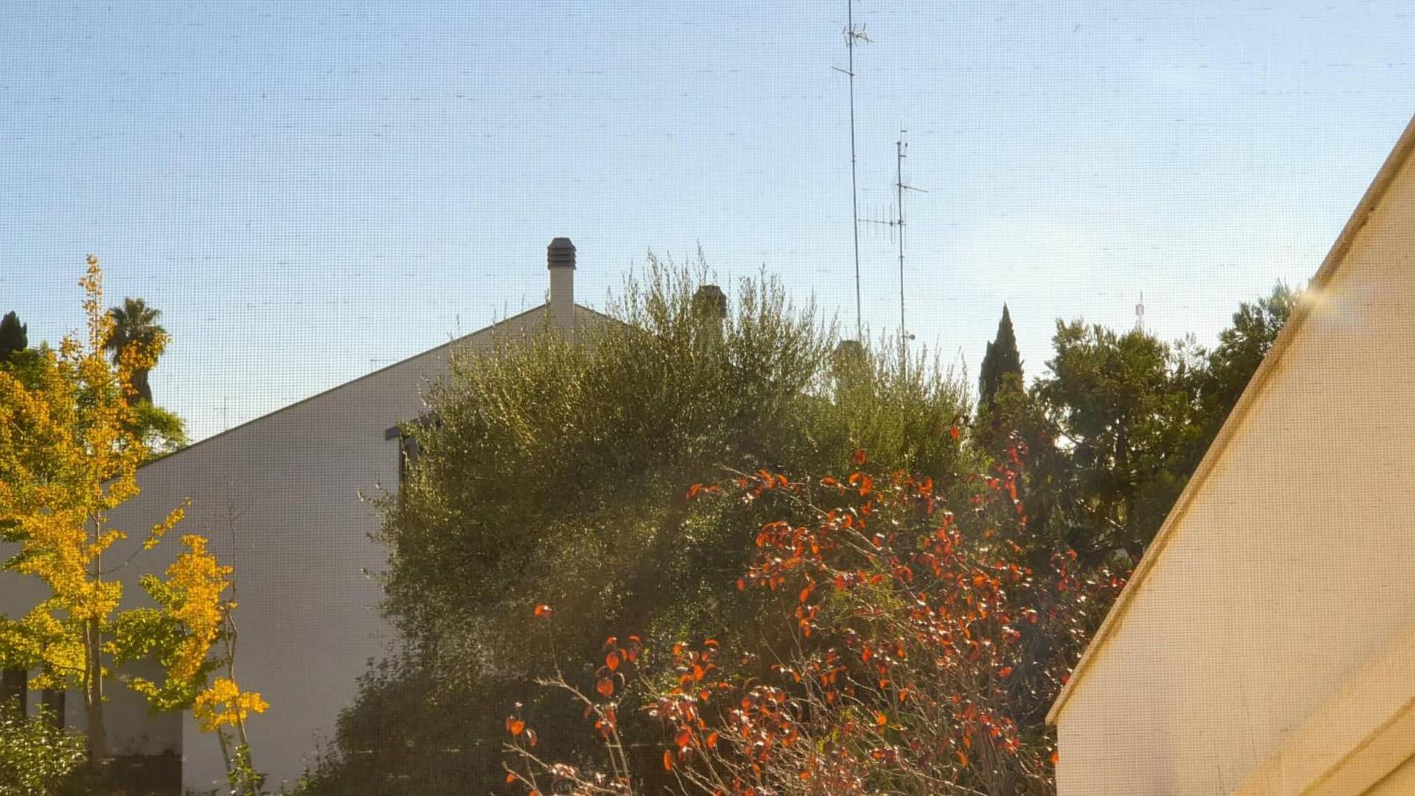 Photo 50