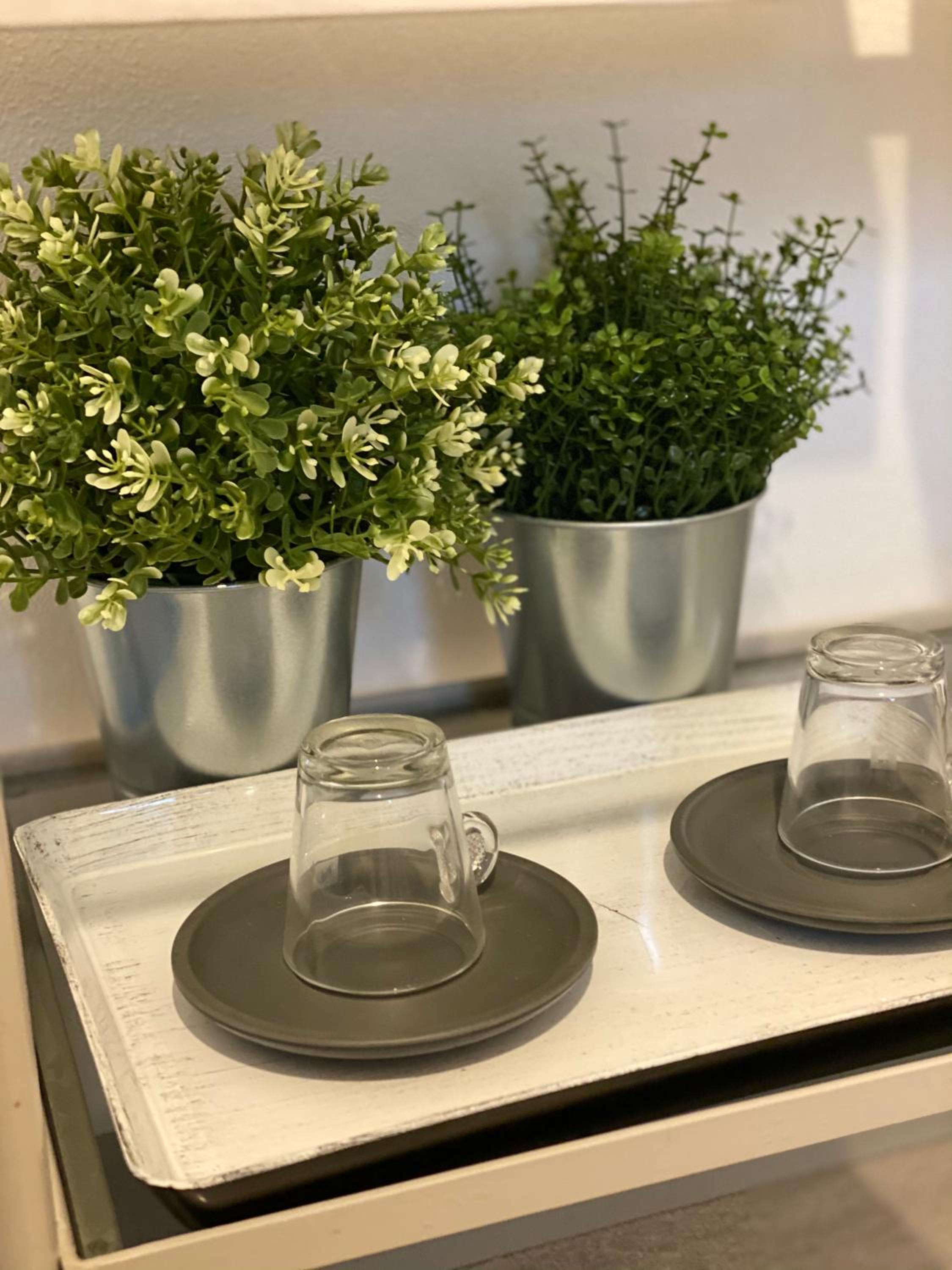 Green House in campagna - Property Image 22