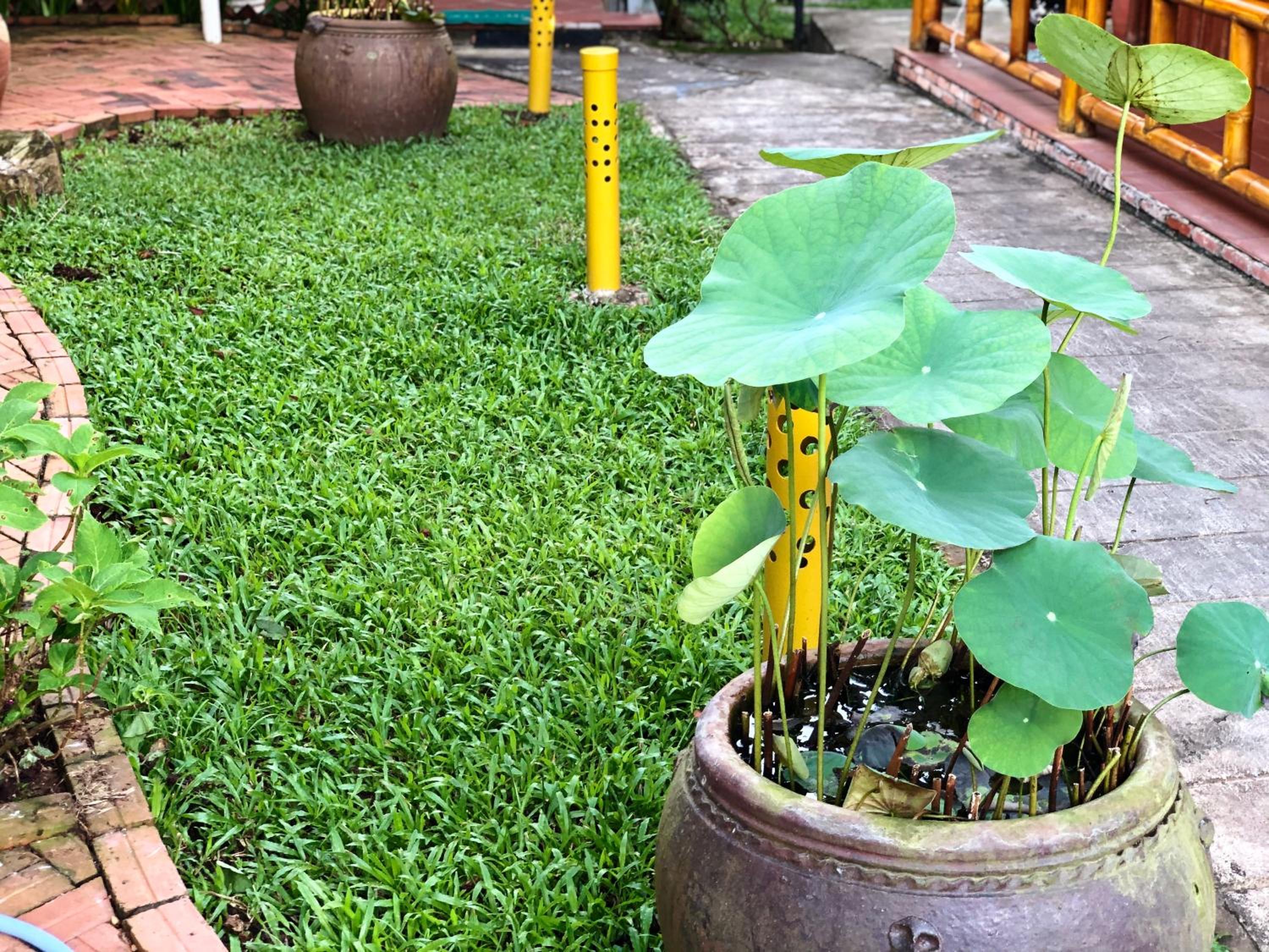 Tropical Garden Phu Quoc