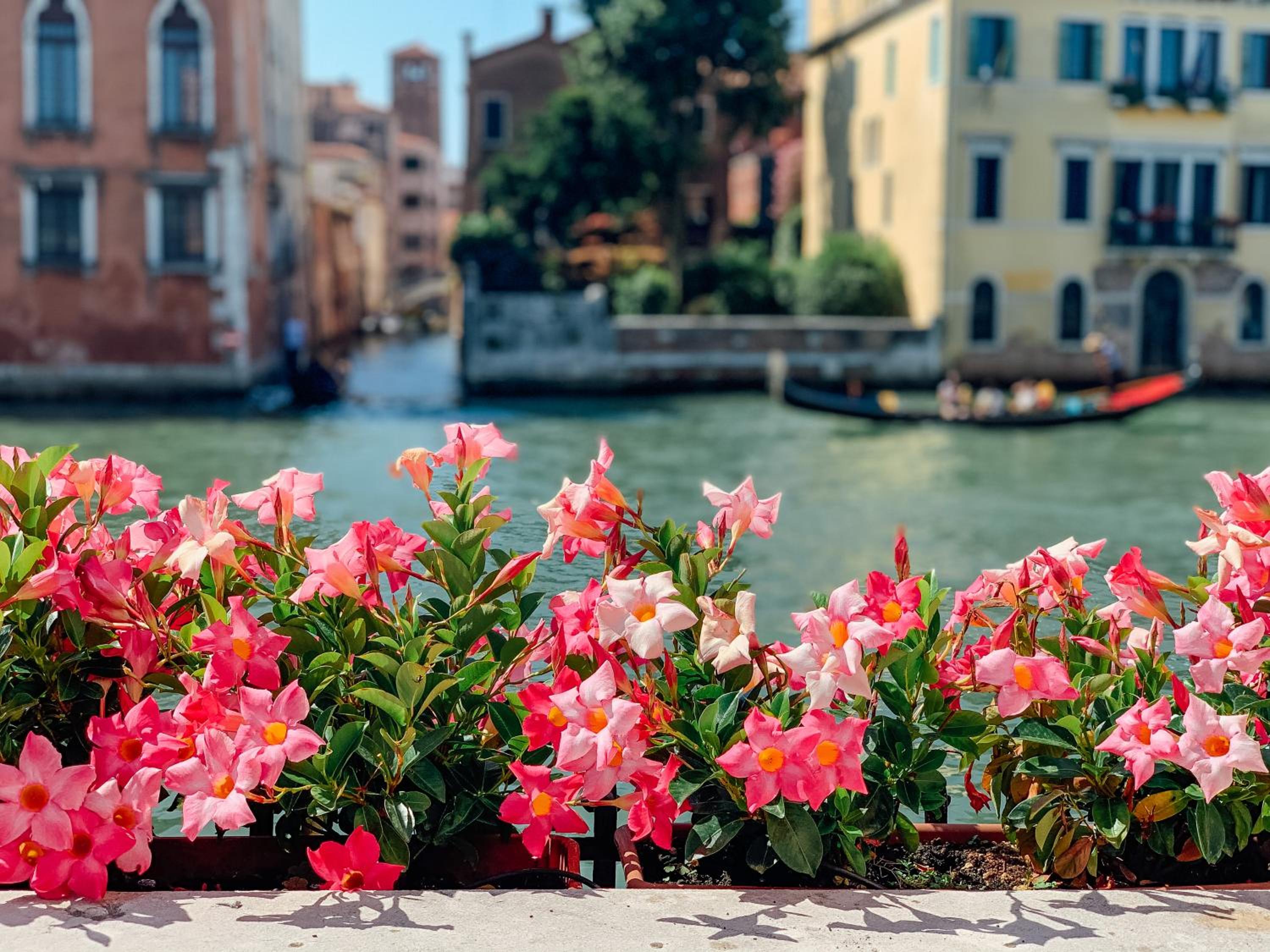 Ca' dei Cuori on the Grand Canal