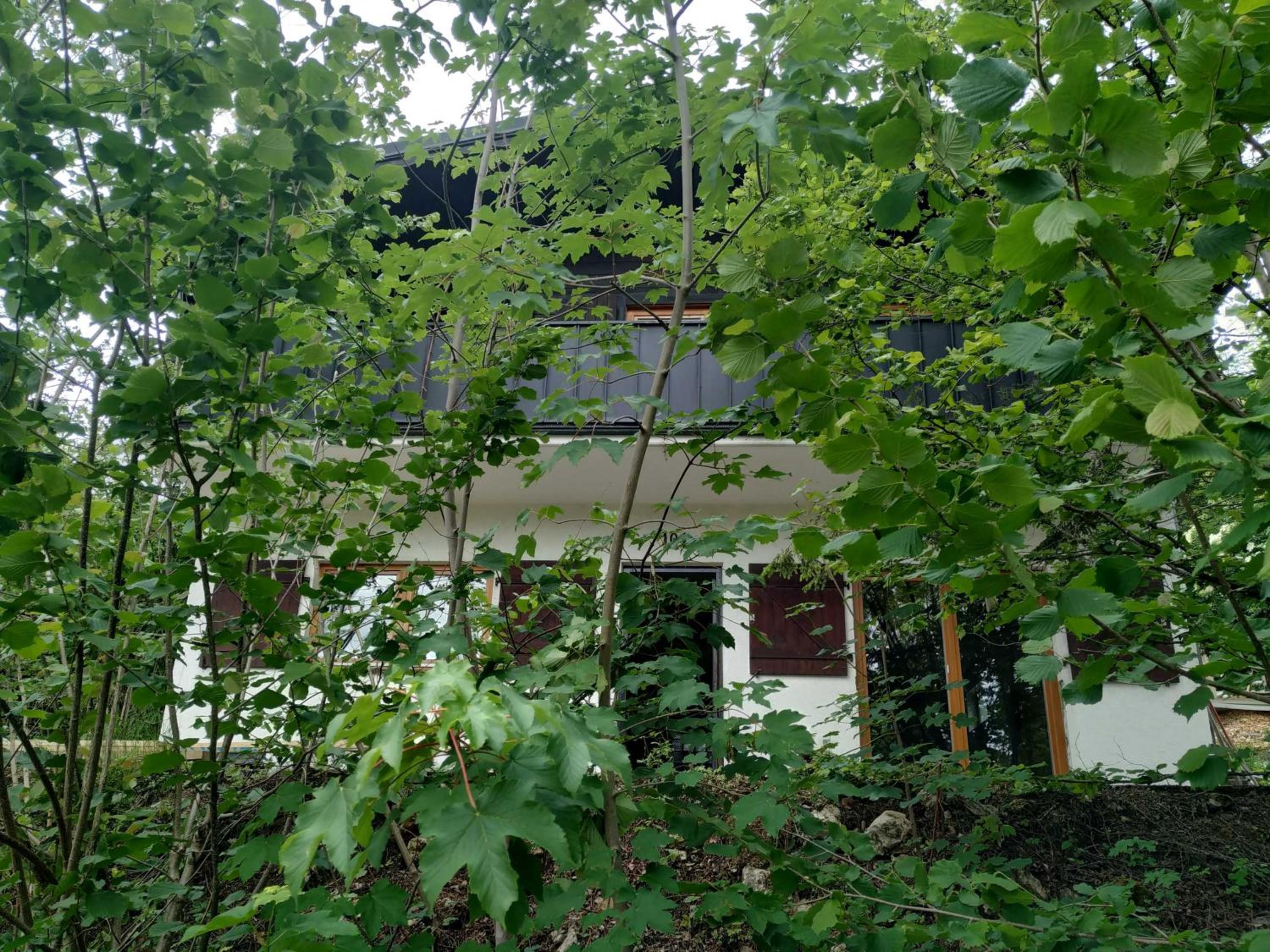 Photo 33