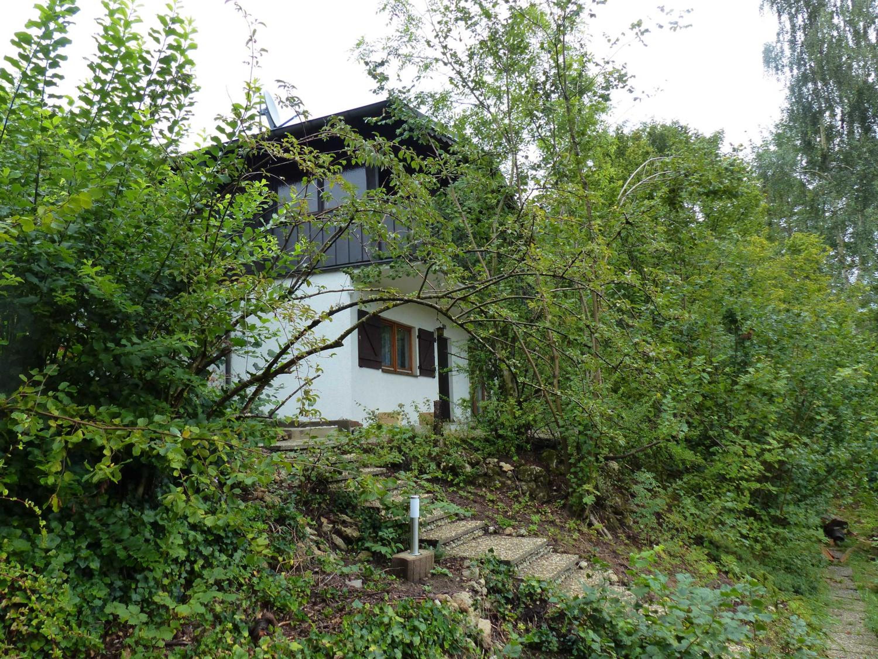 Photo 6