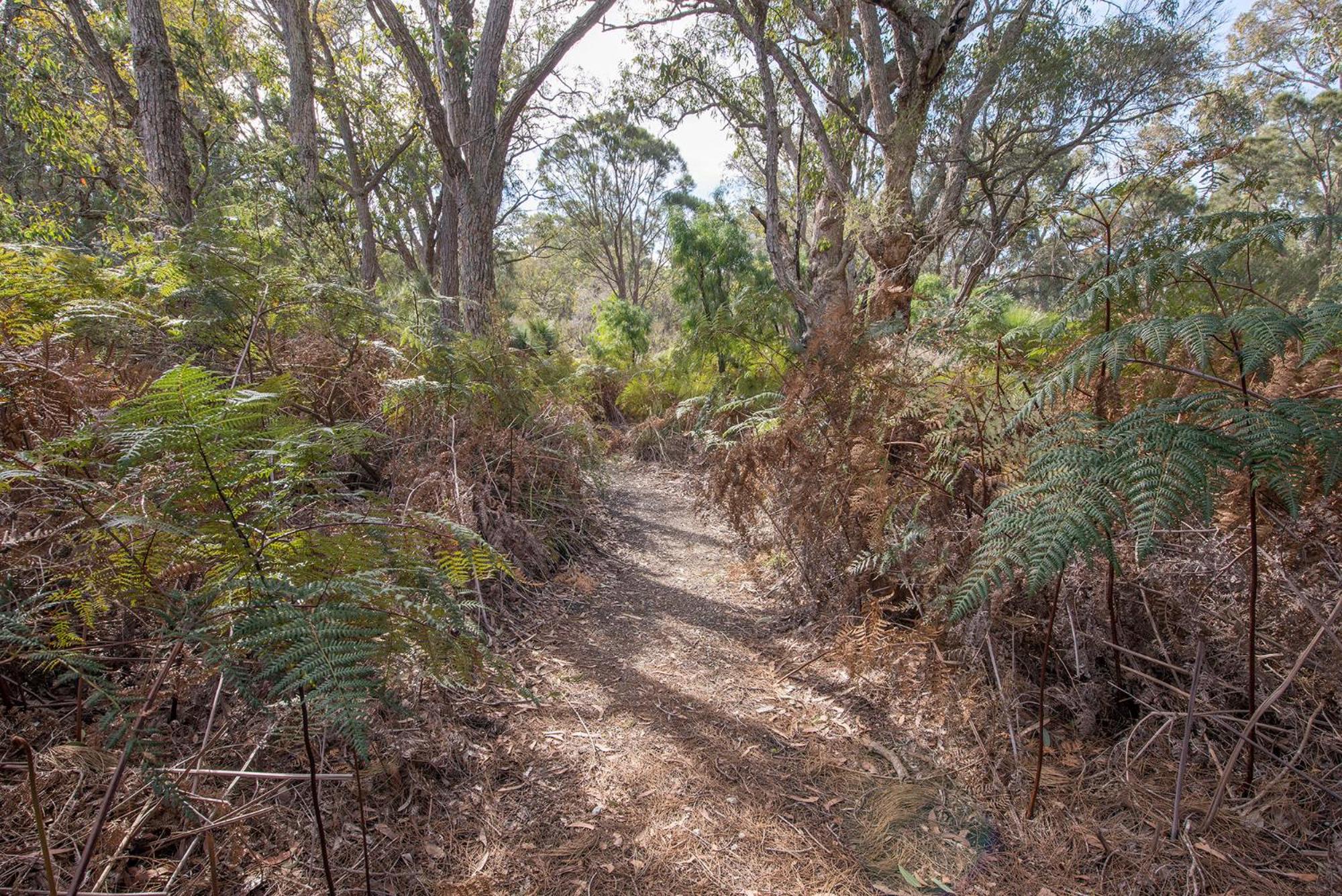 Yelverton Brook Conservation Sanctuary