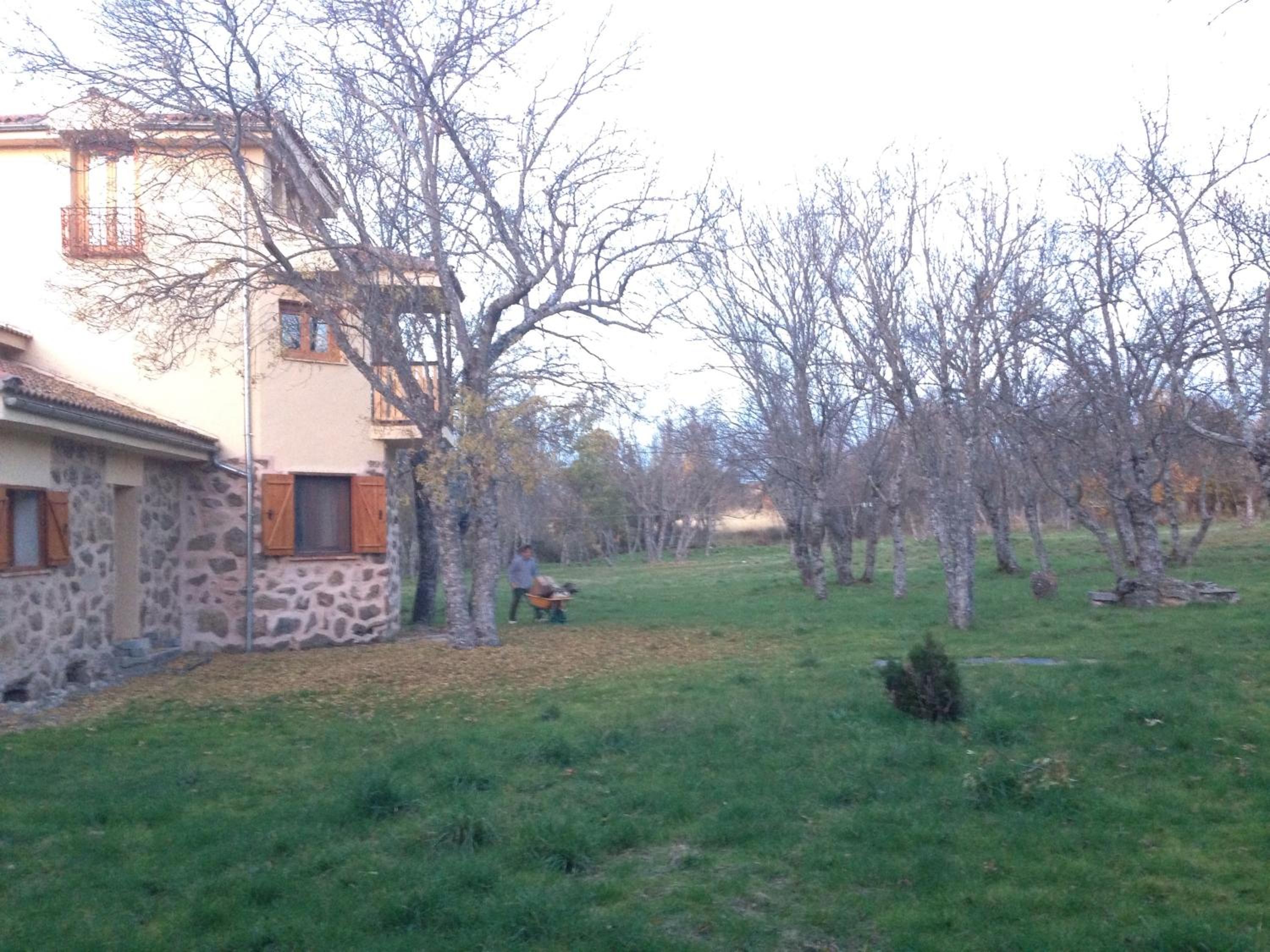 Photo 52