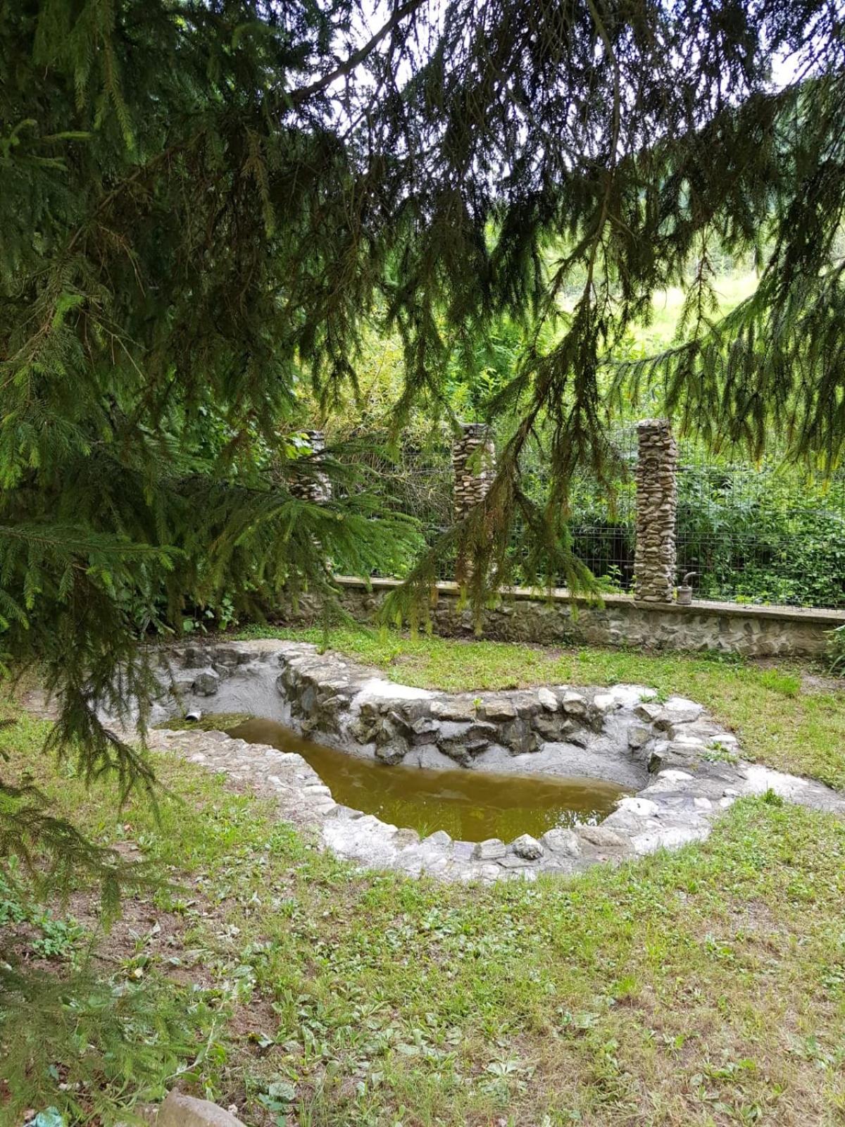 Photo 49