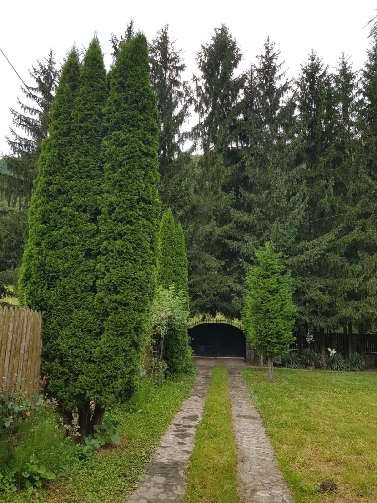 Photo 45