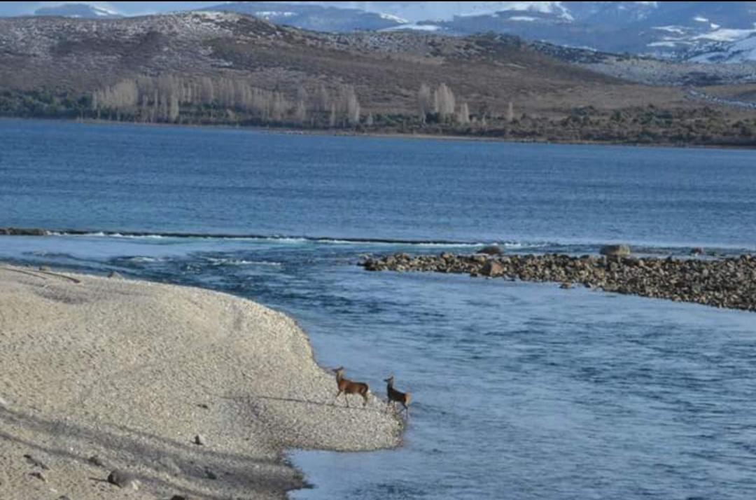 GreJa Lodge, Limay, Patagonia