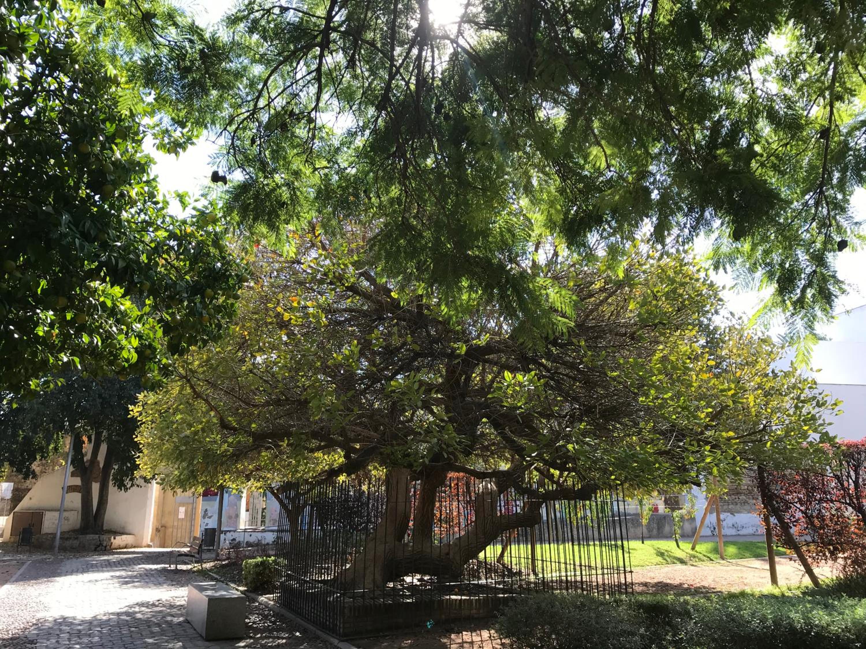 Photo 21