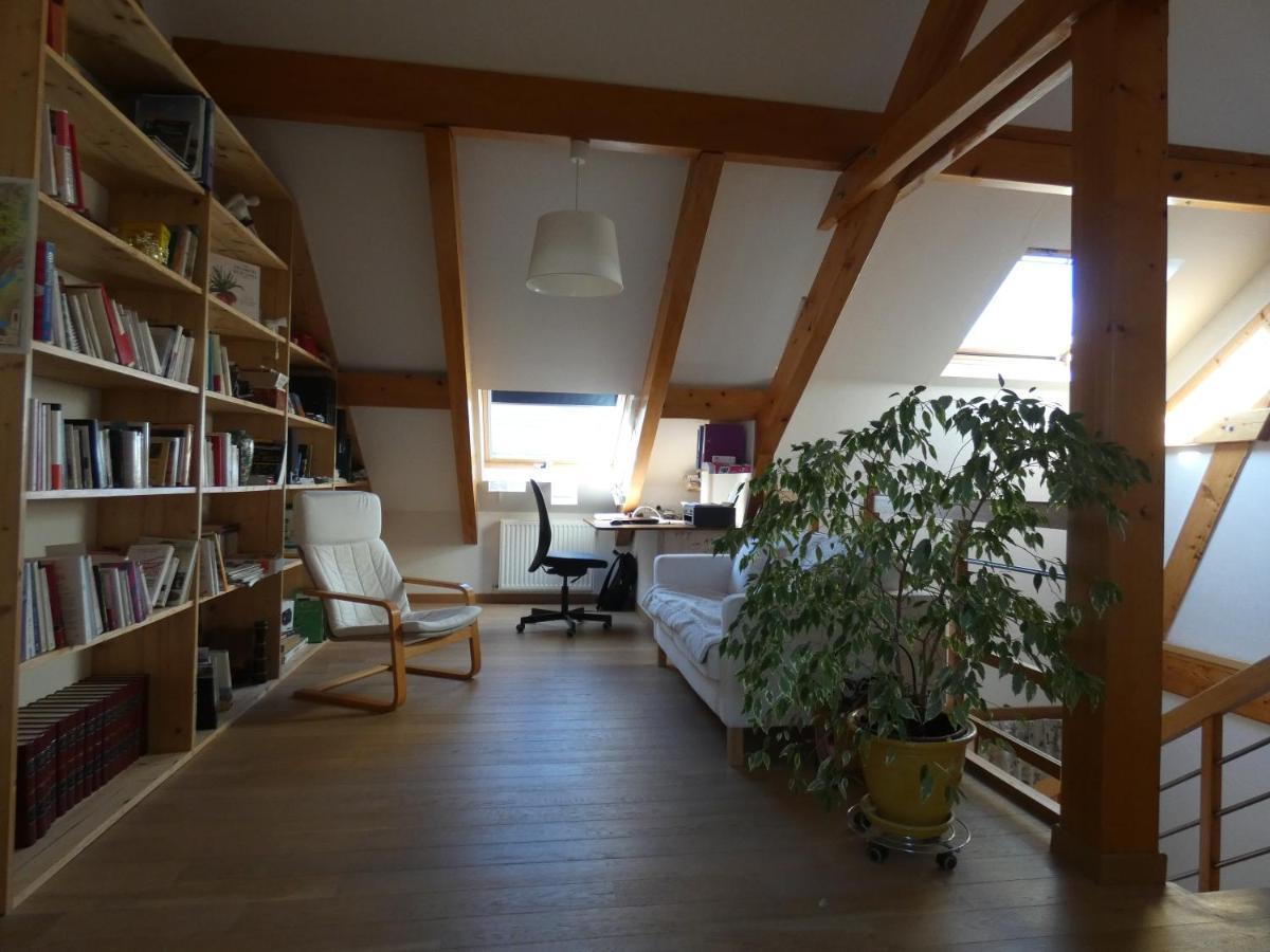 les iris view 5