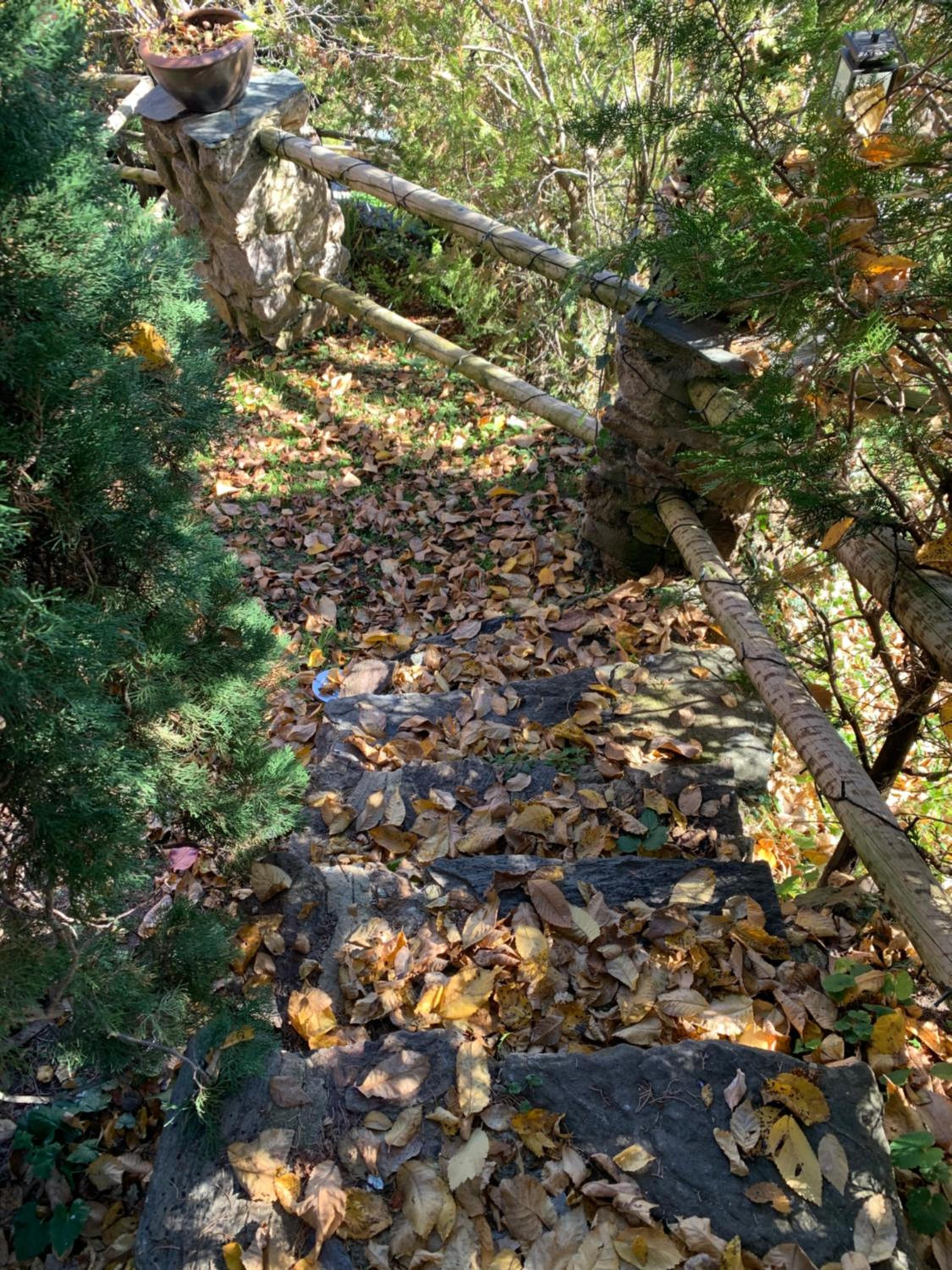 Photo 31