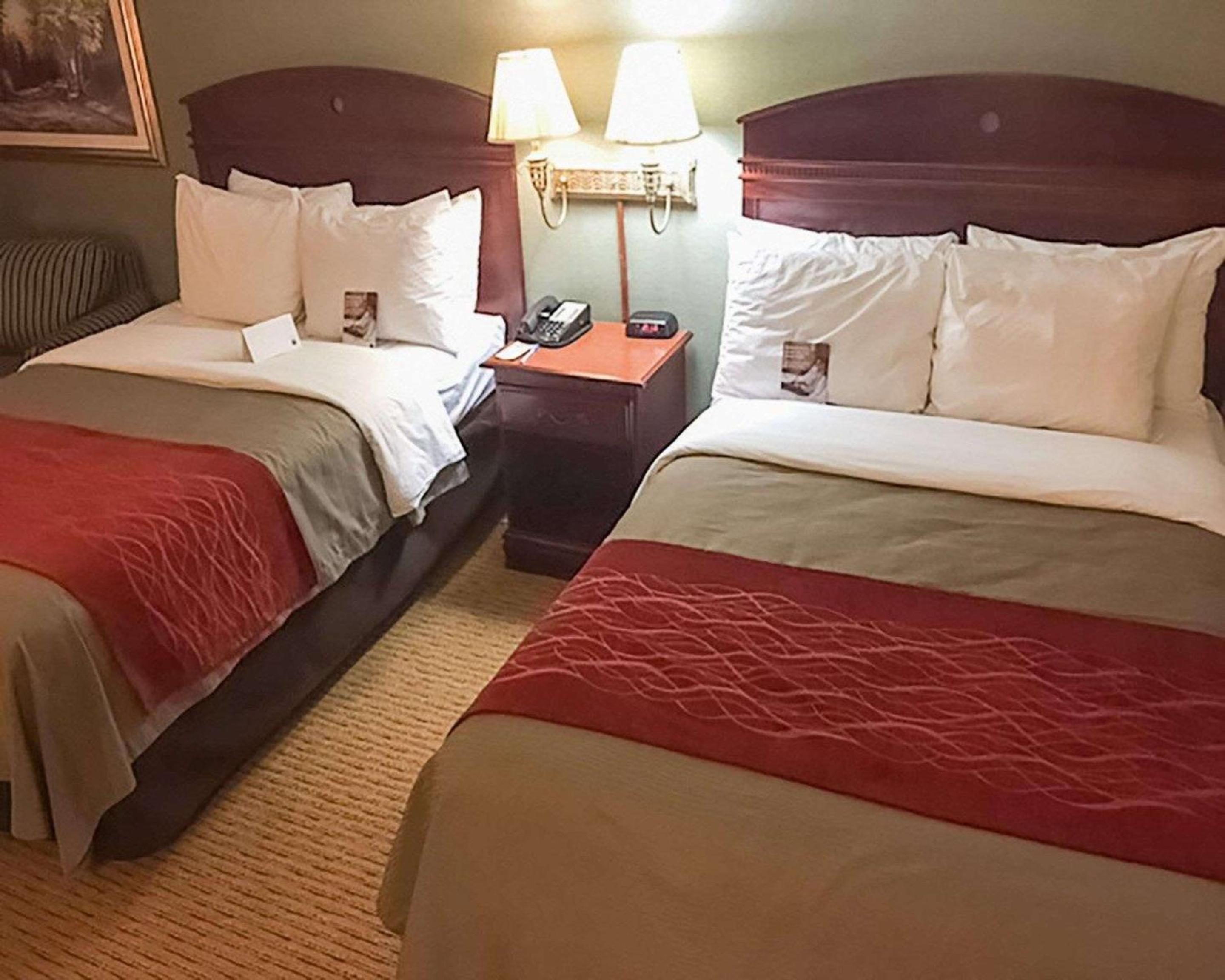 Springfield Vacations - Comfort Inn - Property Image 20