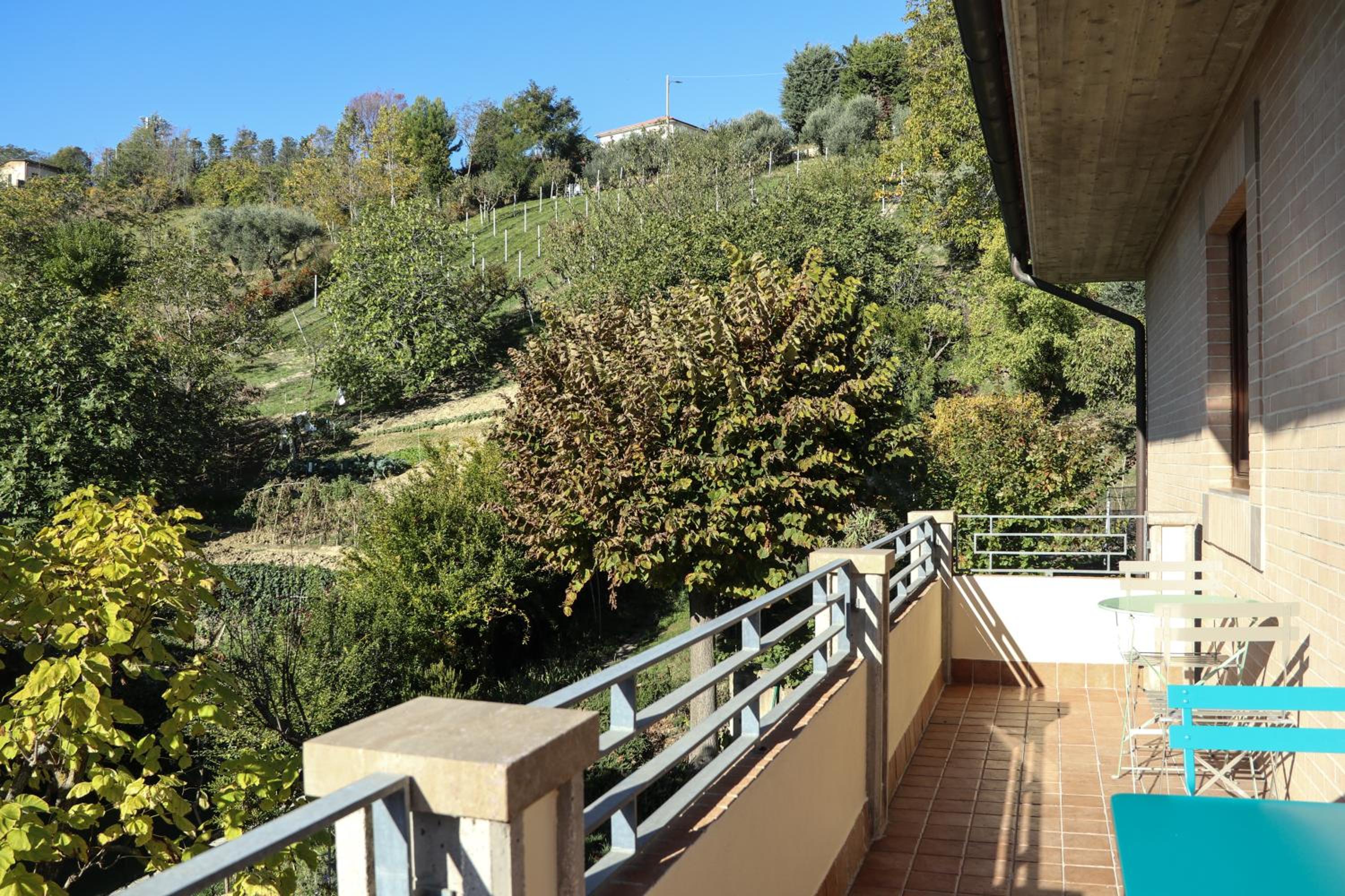 Photo 43