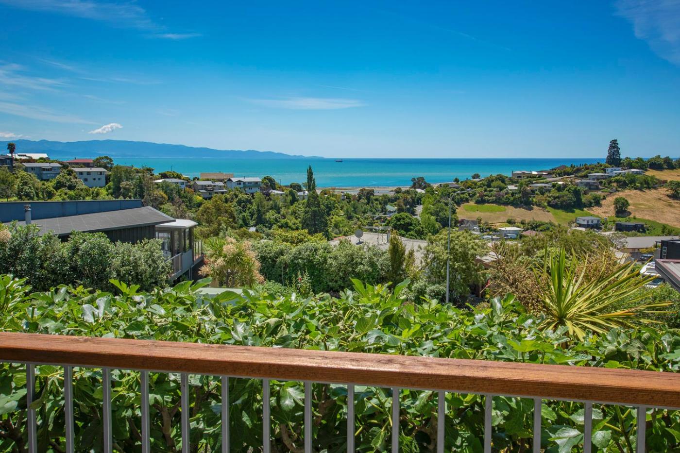 Nelson Eco Home view 5
