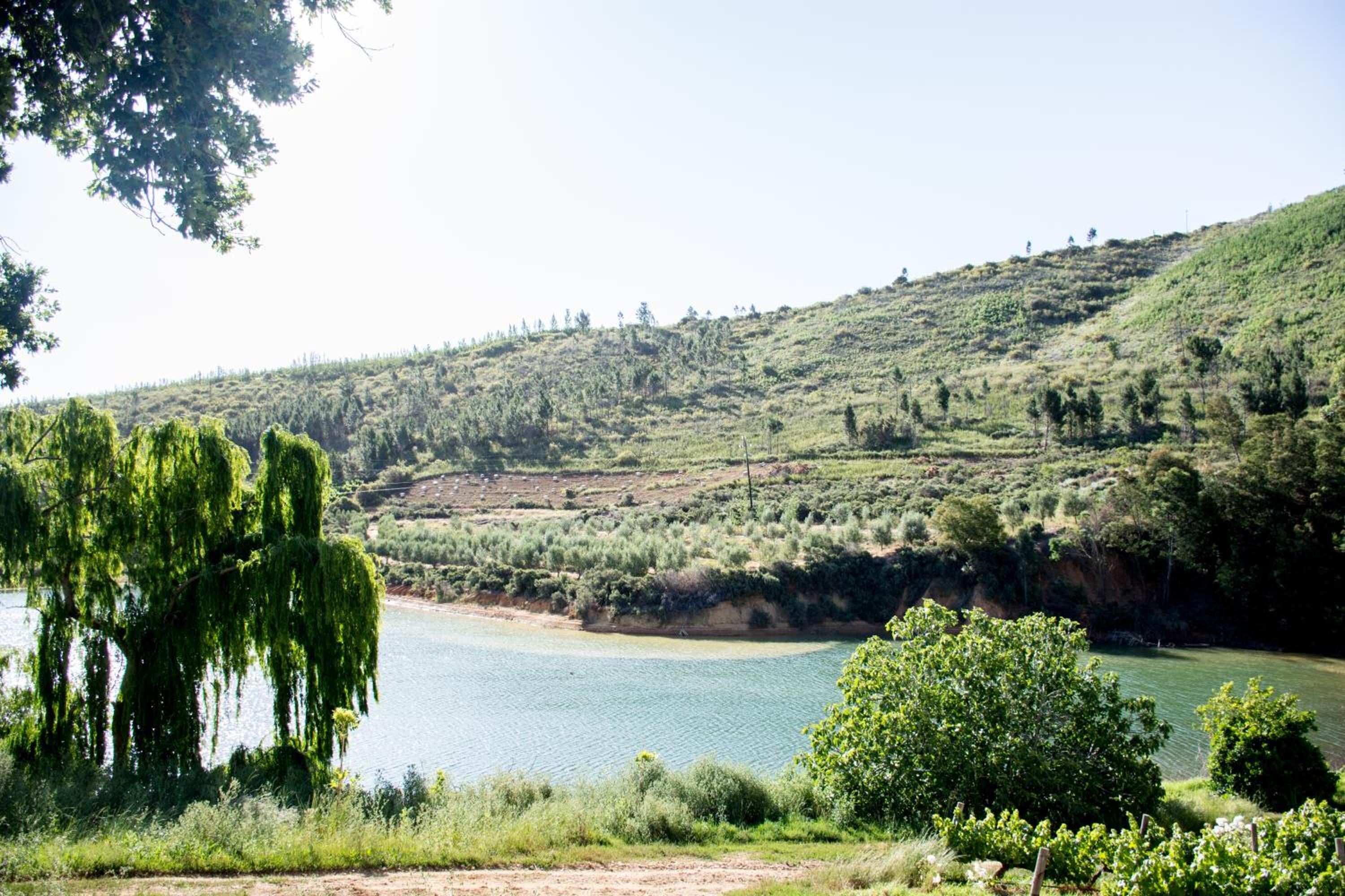Vredehoek Guest Farm view 5