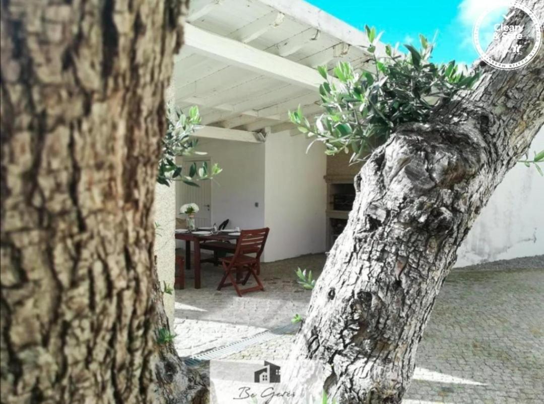 Cortegaça House view 4