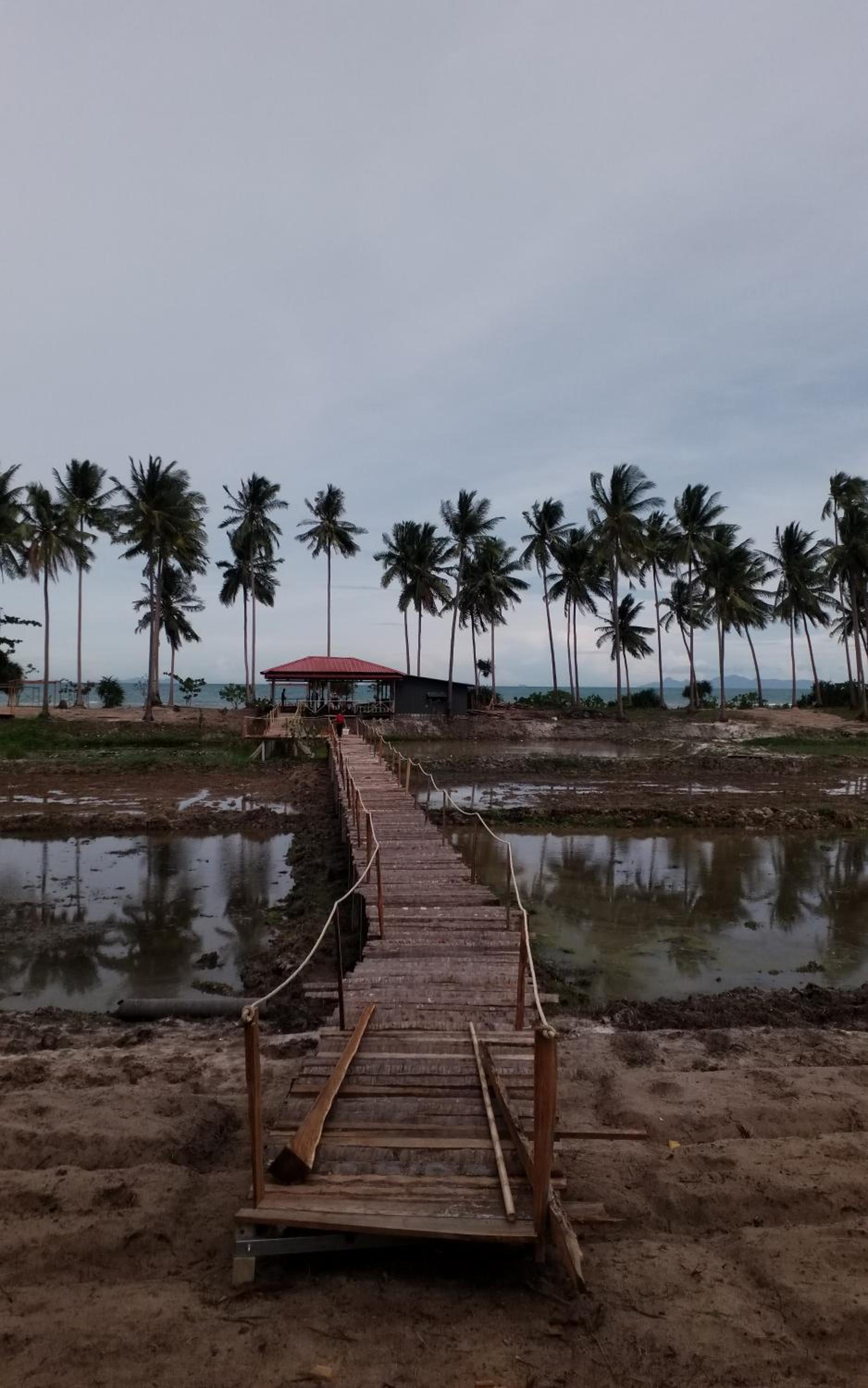 I - Talay Taling Ngam Samui - เขา ป่า นา เล ตลิ่งงาม สมุย view 5