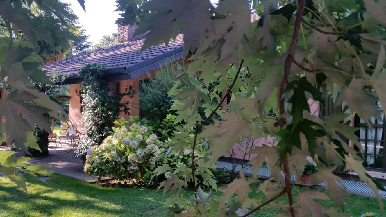 Photo 43
