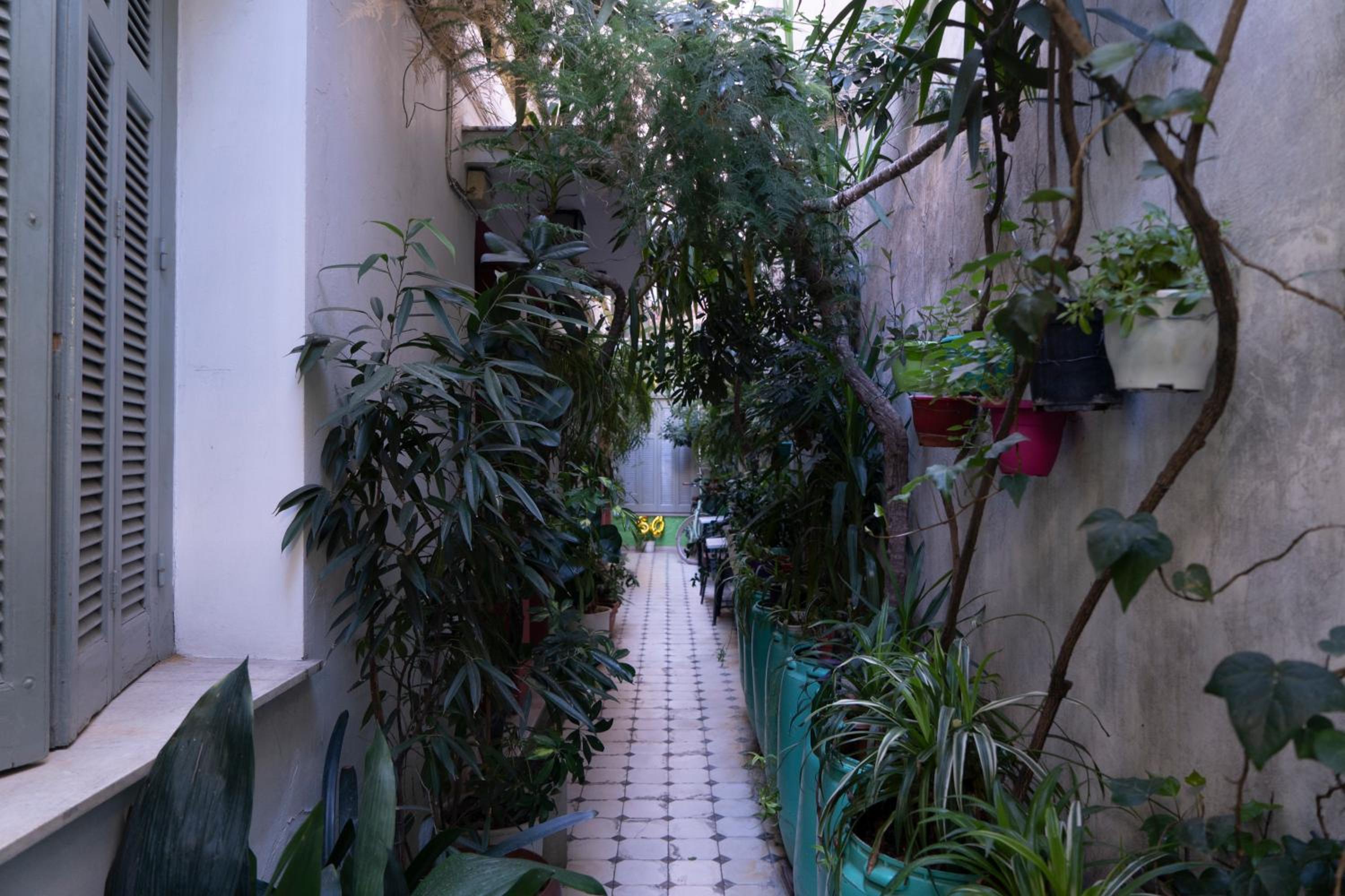 Pagration Youth Hostel